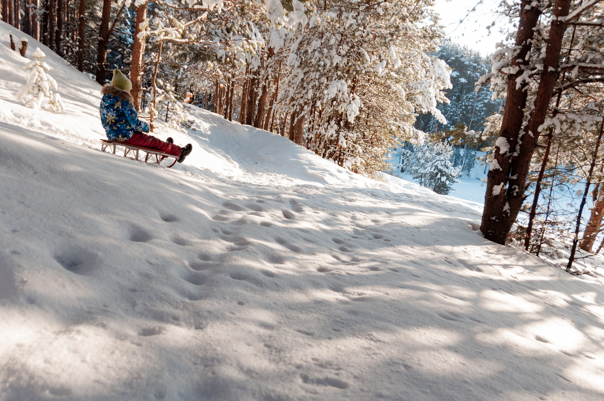 КСЮША+ВАЛЕРА+АВРОРА+РОБЕРТ. Фотограф в Ярославле Грибанова Ирина