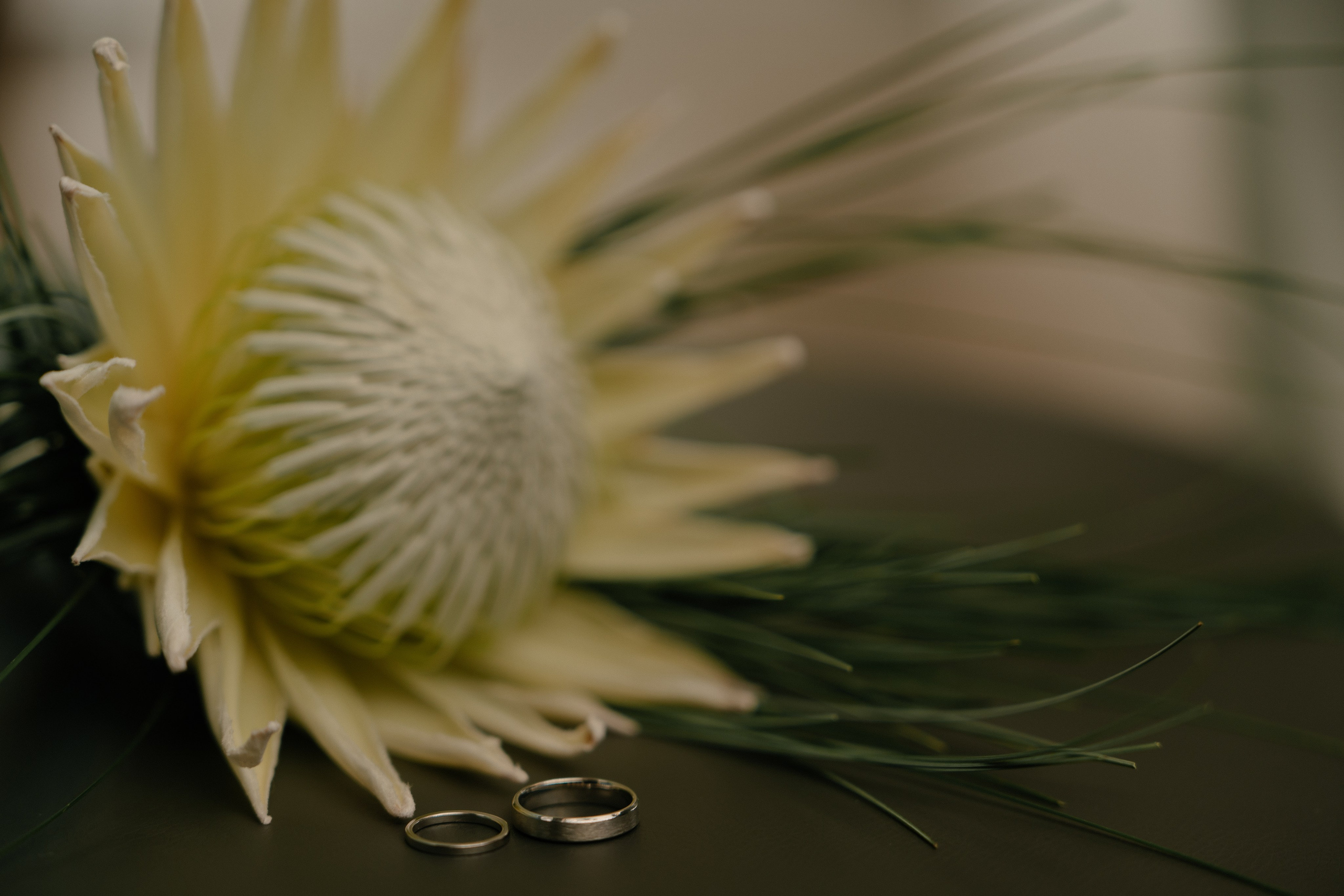 Любовь в космосе. Свадебный и семейный фотограф в Москве и Красногорске — живые кадры | Анастасия Тихонова