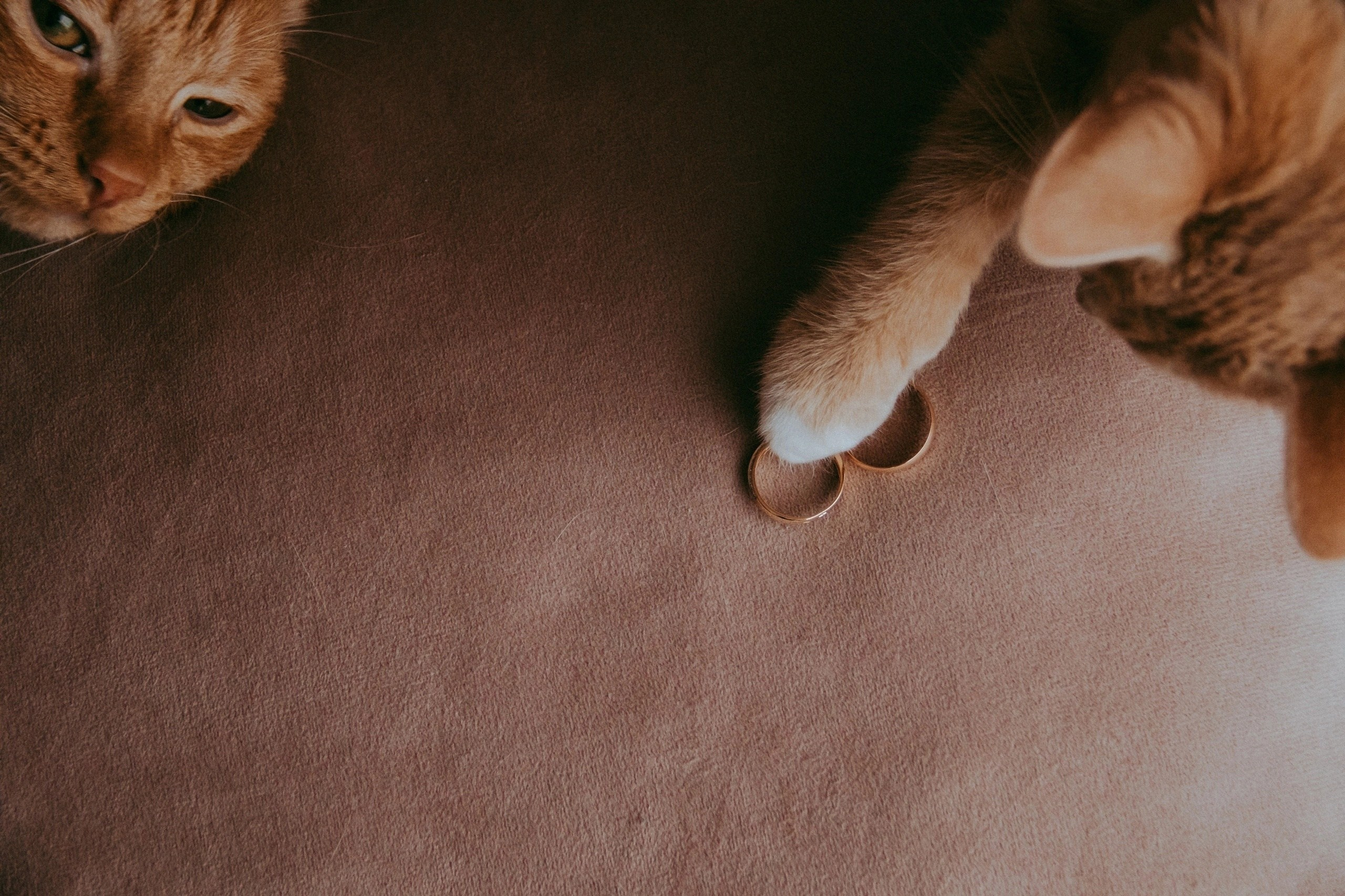 WEDDING. Фотограф Максим Мельников