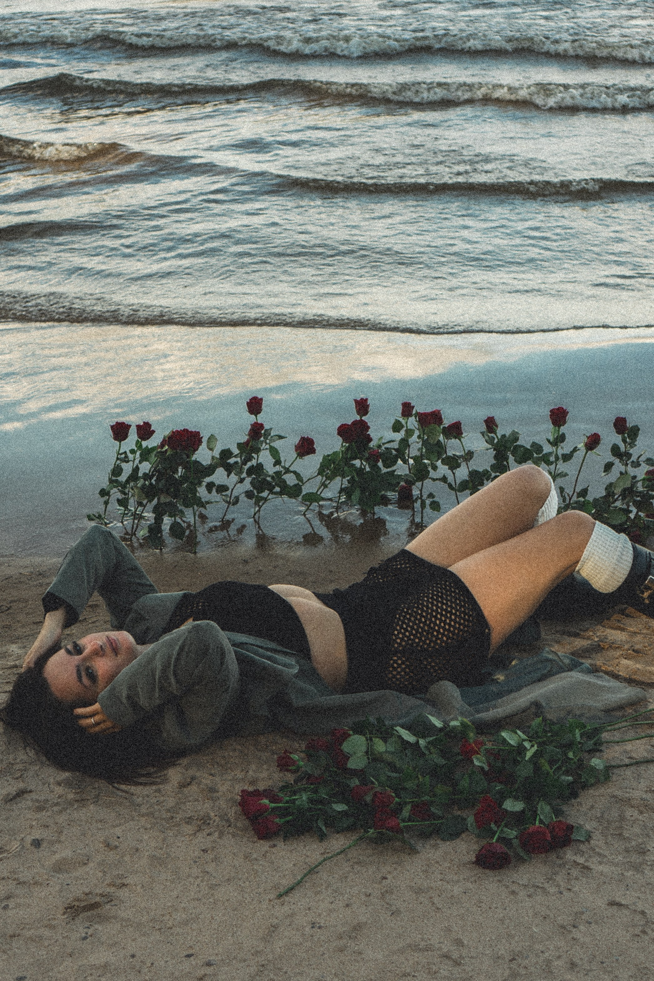 Розы. Профессиональный фотограф, Санкт-Петербург — Виктория Богомолова