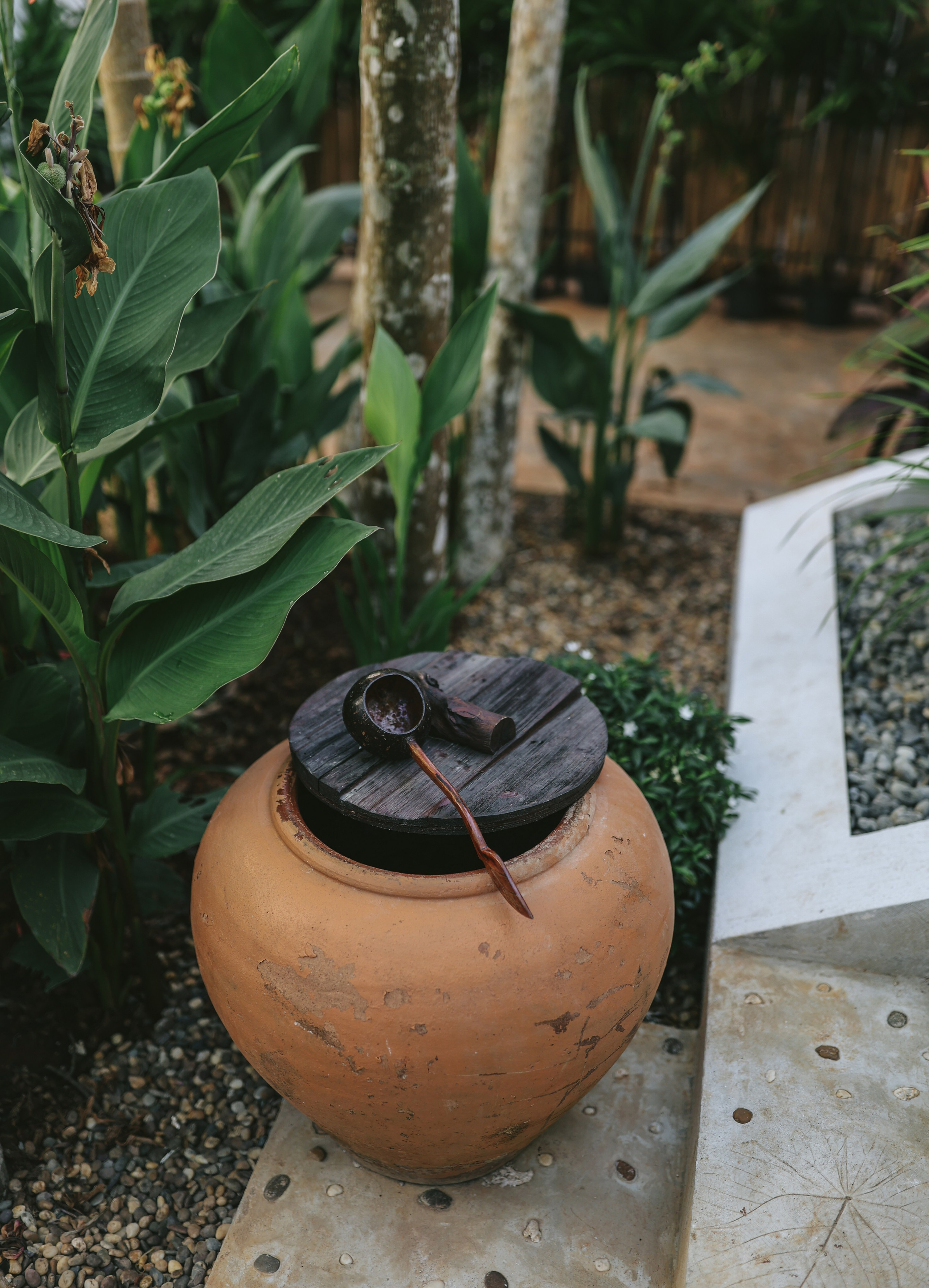 Thailand / Ban Sainai Resort. Ekaterina Buneeva Photography