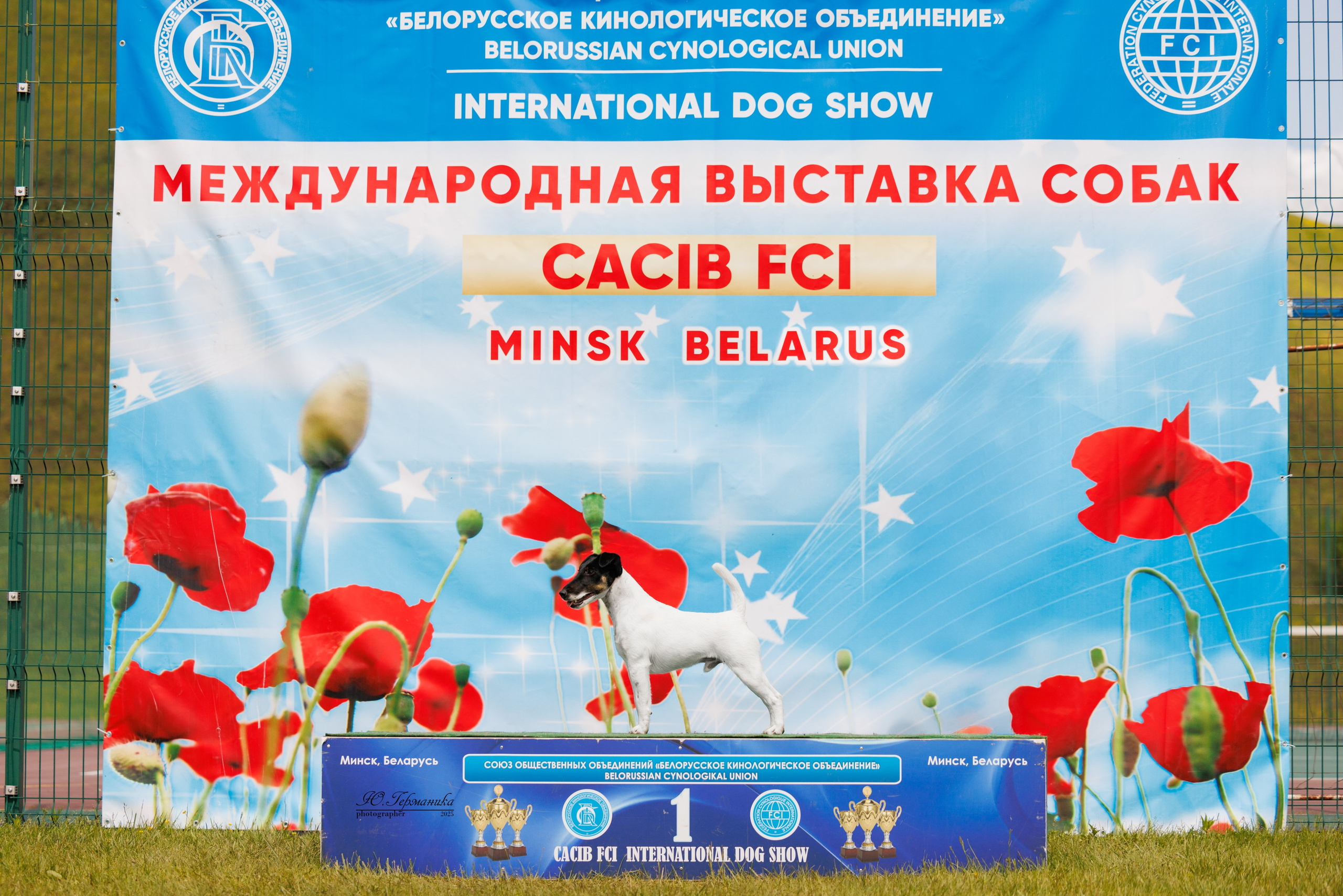 Минск 31.05-1.06.2025. Фотограф-анималист Юлия Германика