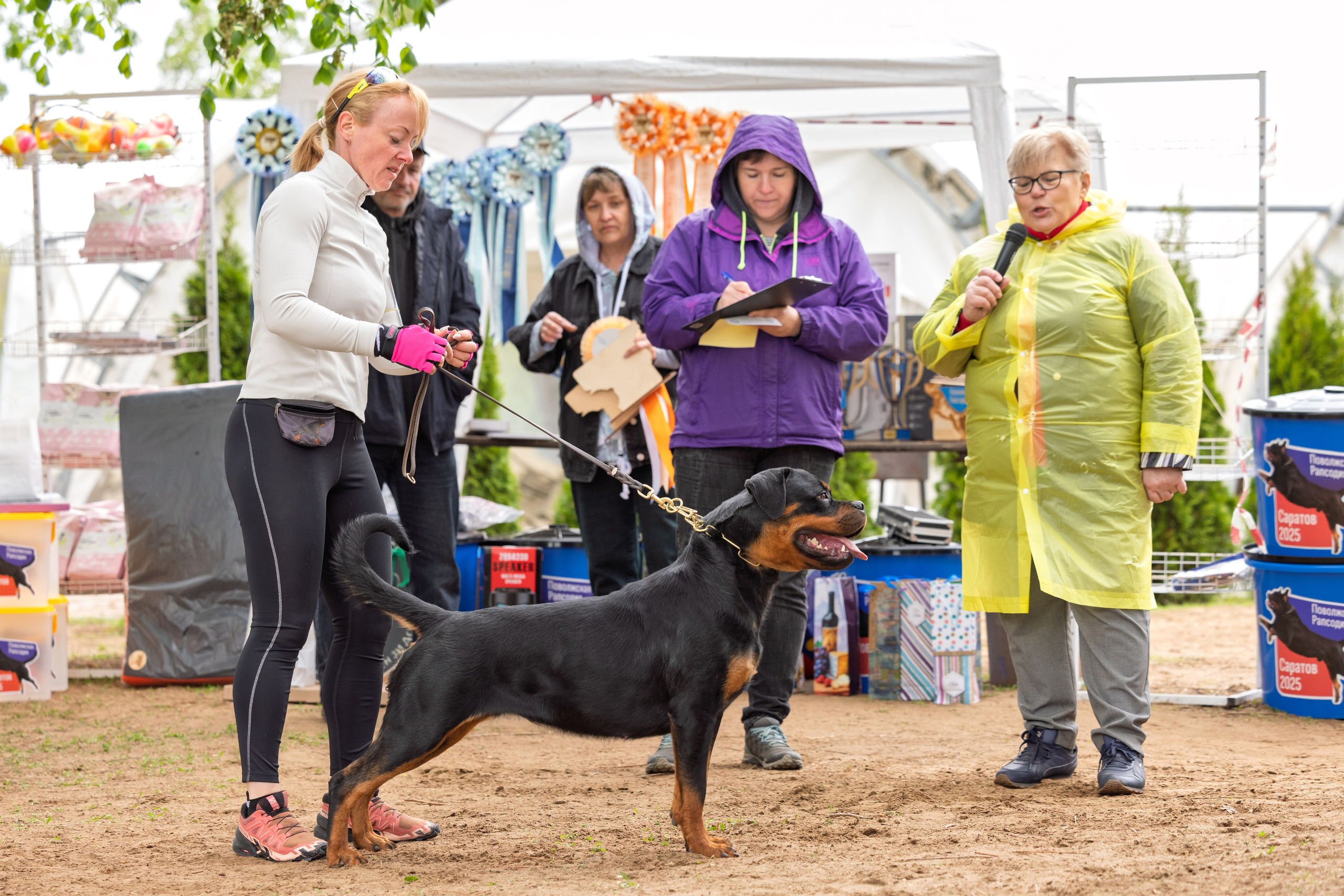 Саратов моно ротвейлеров 26-27.04.2025. Фотограф-анималист Юлия Германика