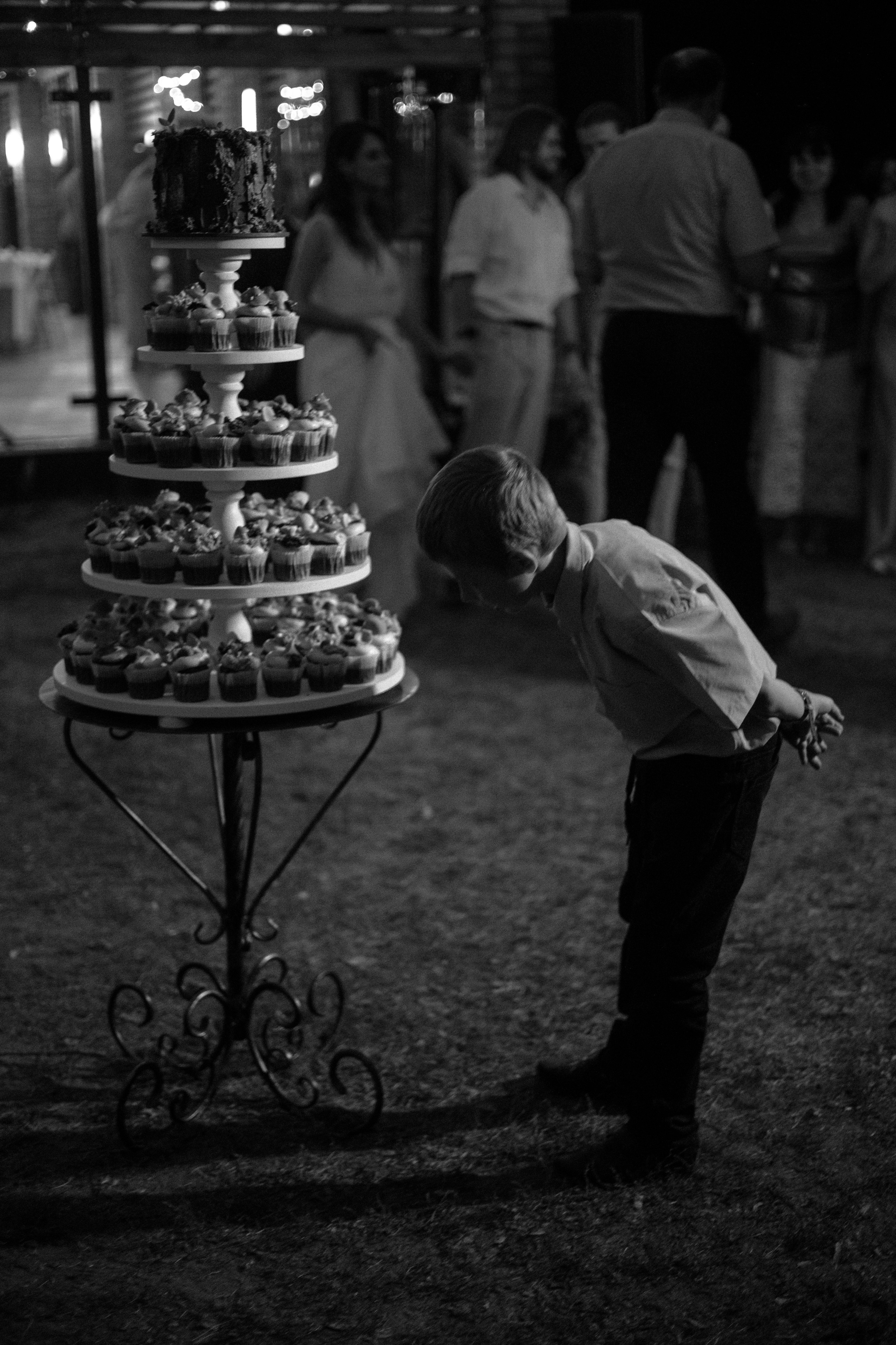 Виноградники. Dima Lemeshevsky