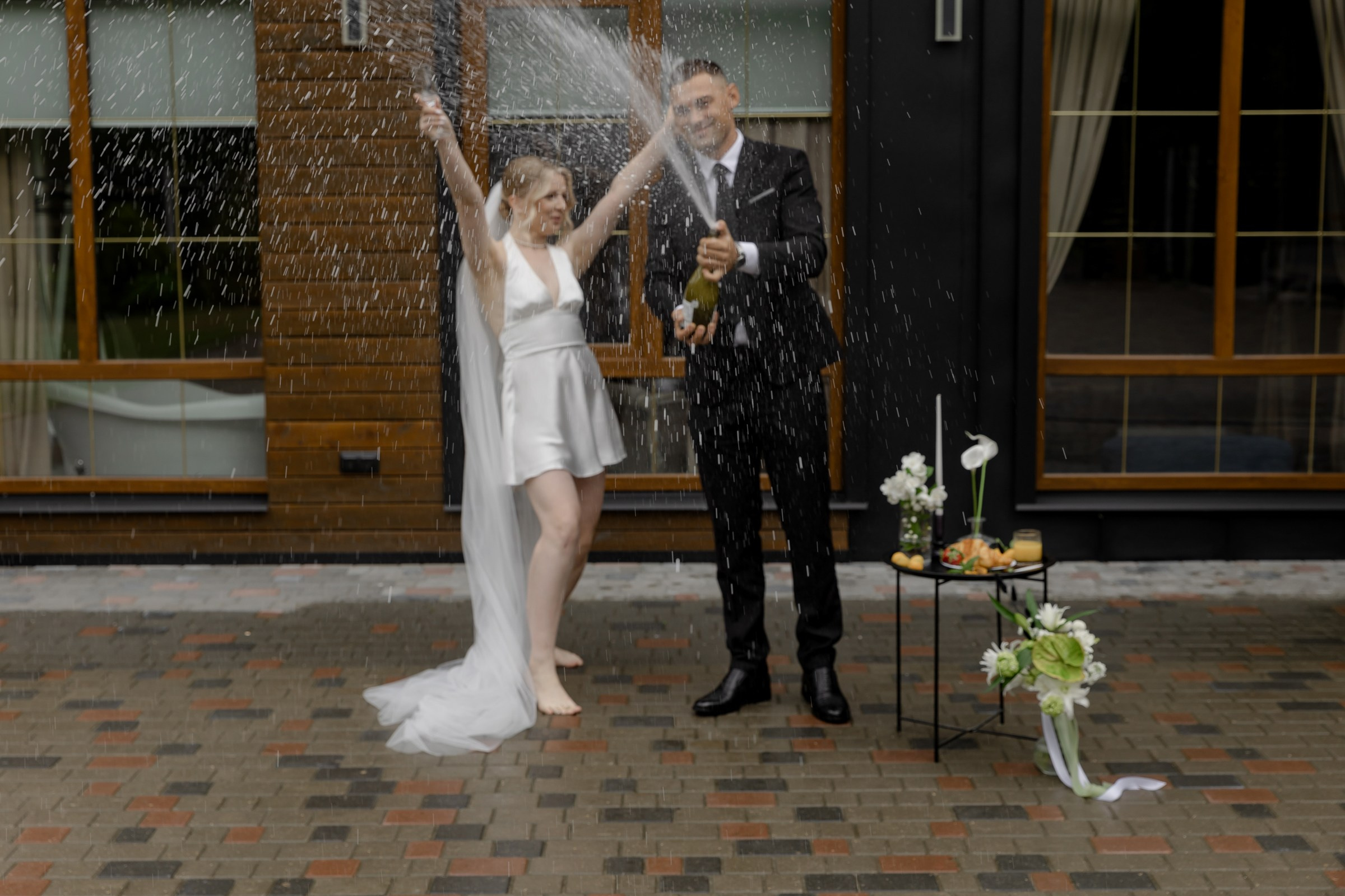 Свадьба пес и котики. Dima Lemeshevsky