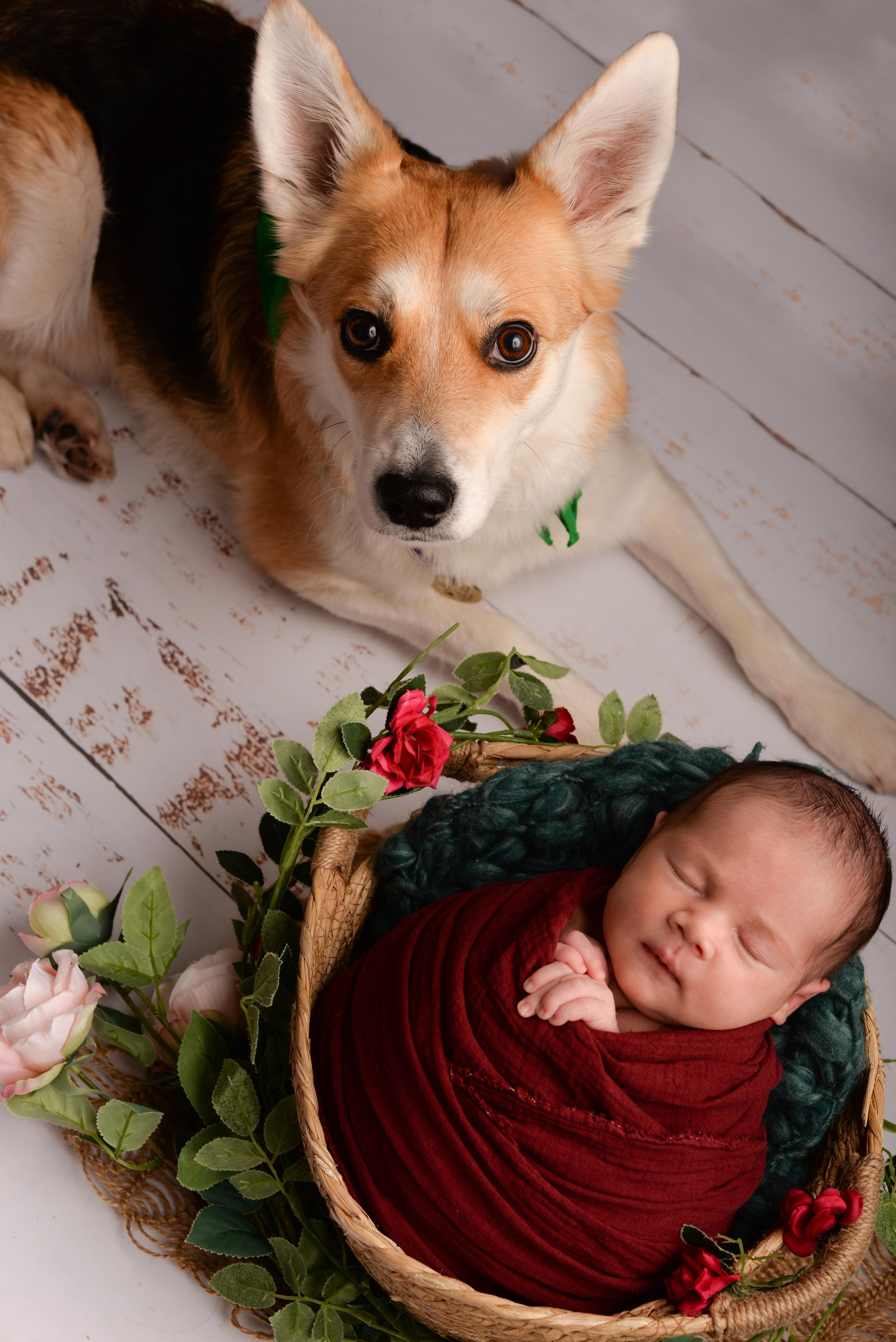 Портфолио newborn. Фотограф новорожденных в Москве Воробьева Юлия