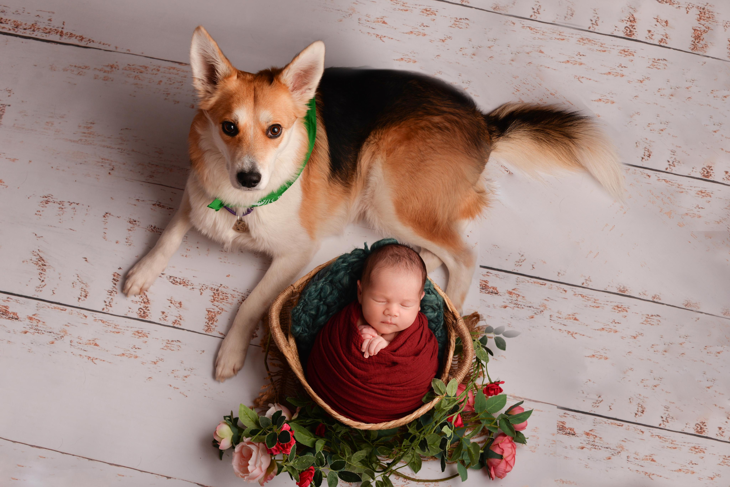 Портфолио newborn. Фотограф новорожденных в Москве Воробьева Юлия