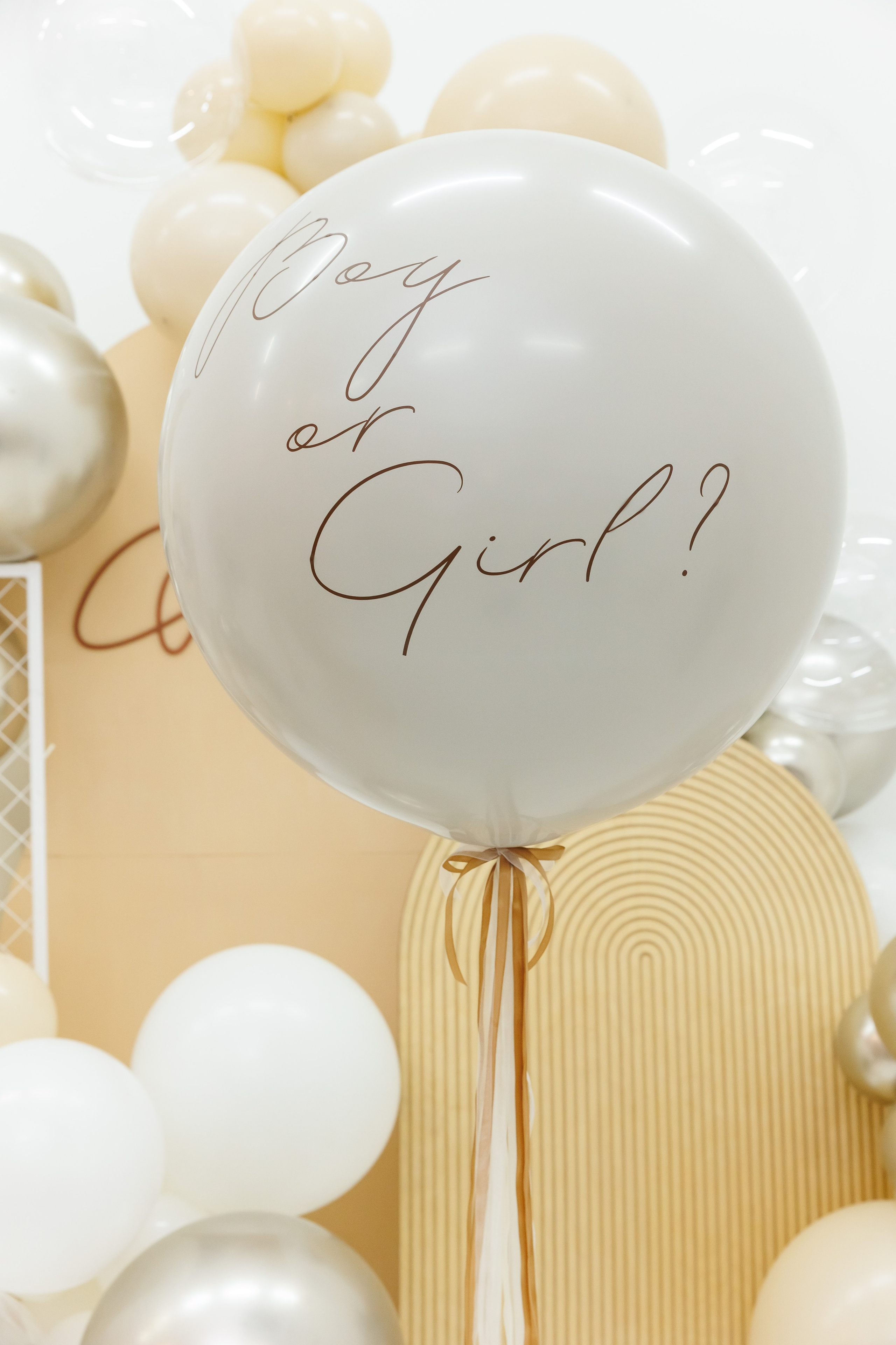 Гендер пати. Фотограф Новосибирск — Наталья Гресь