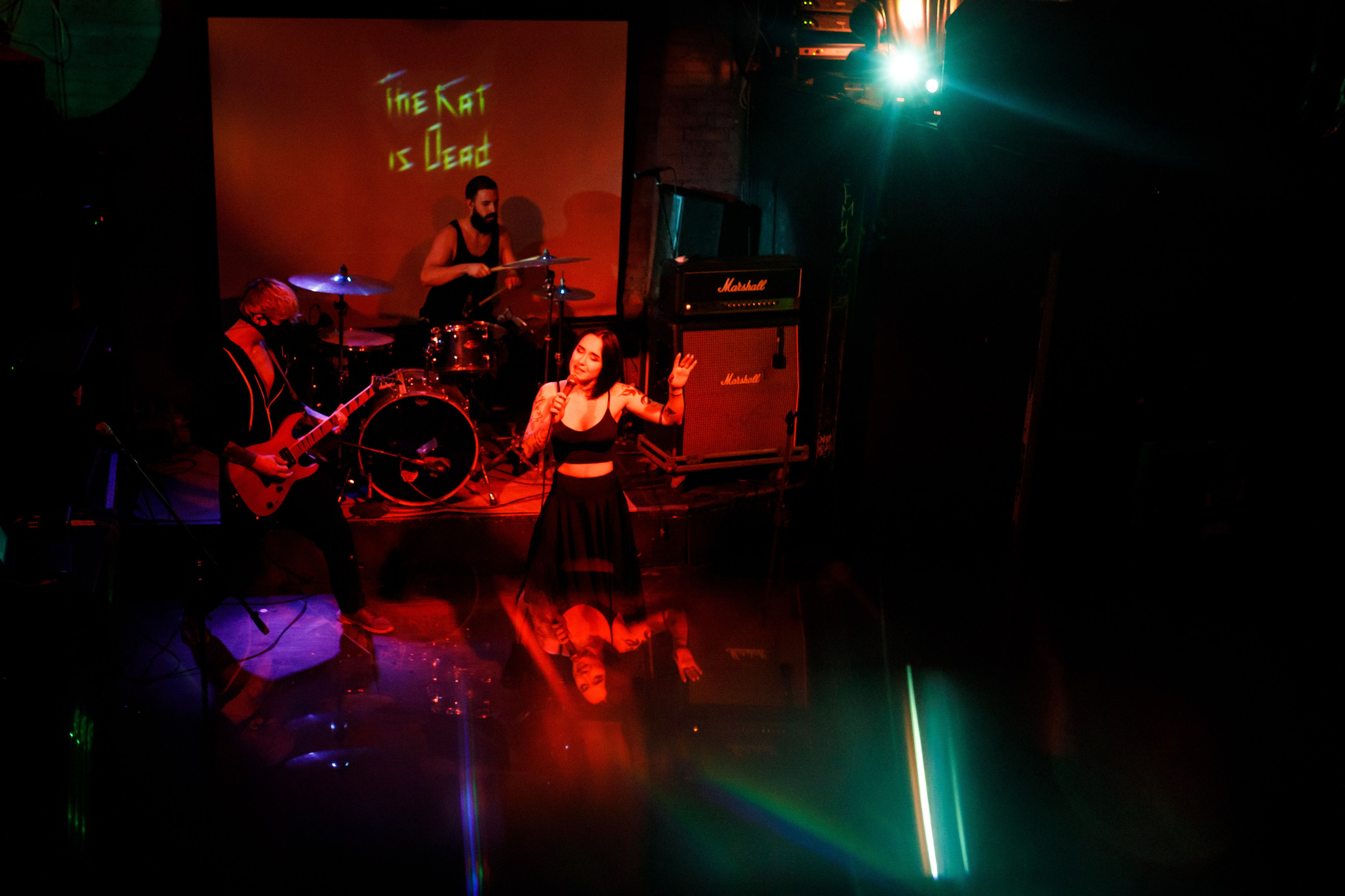 THE KAT IS DEAD. Фотограф Елена Богачева (lenalena_na_na_na)