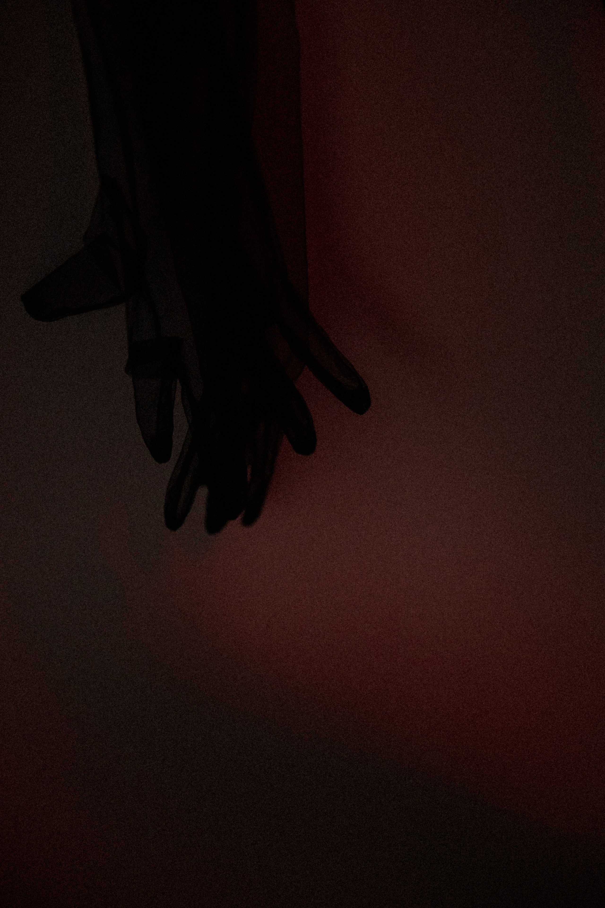 ВЫСШАЯ ПРОБА. Свадебный фотограф Колесников Антон