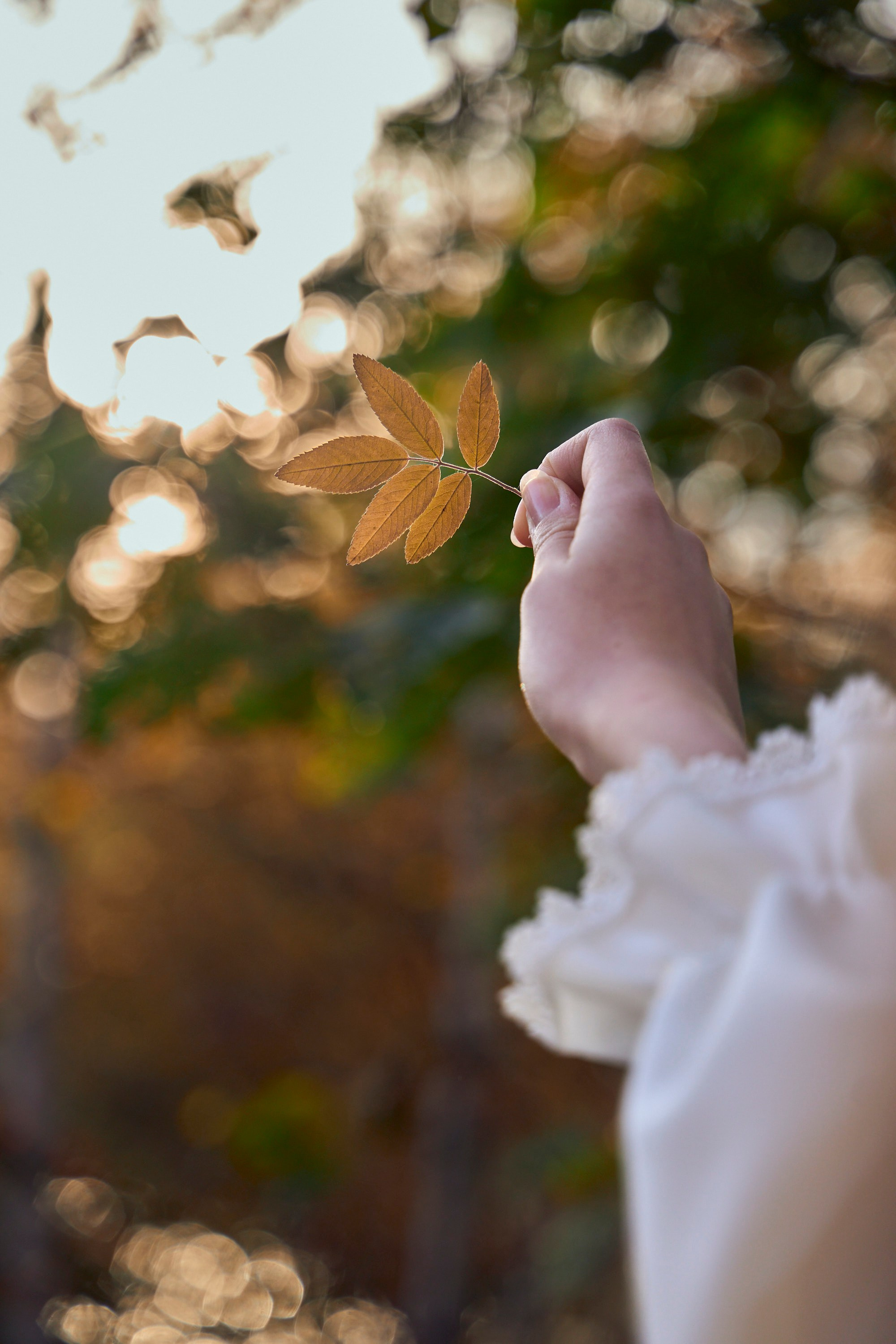 Настя. Студийный фотограф в Петропавловске-Камчатском