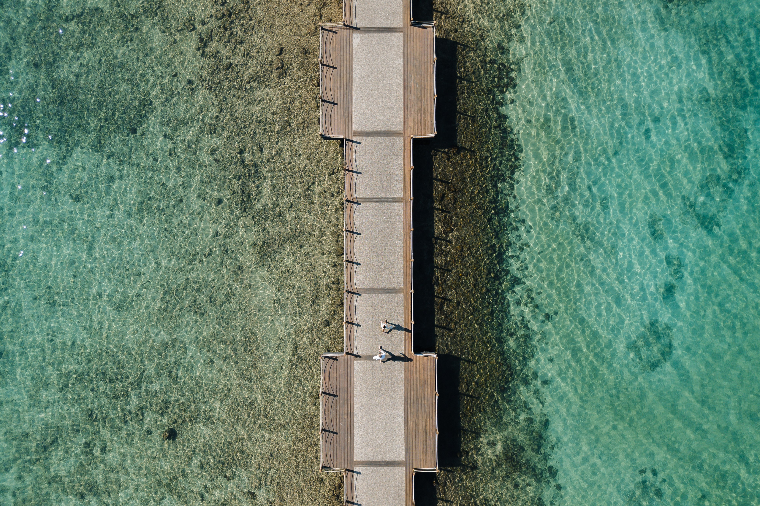 Алиса | Антон