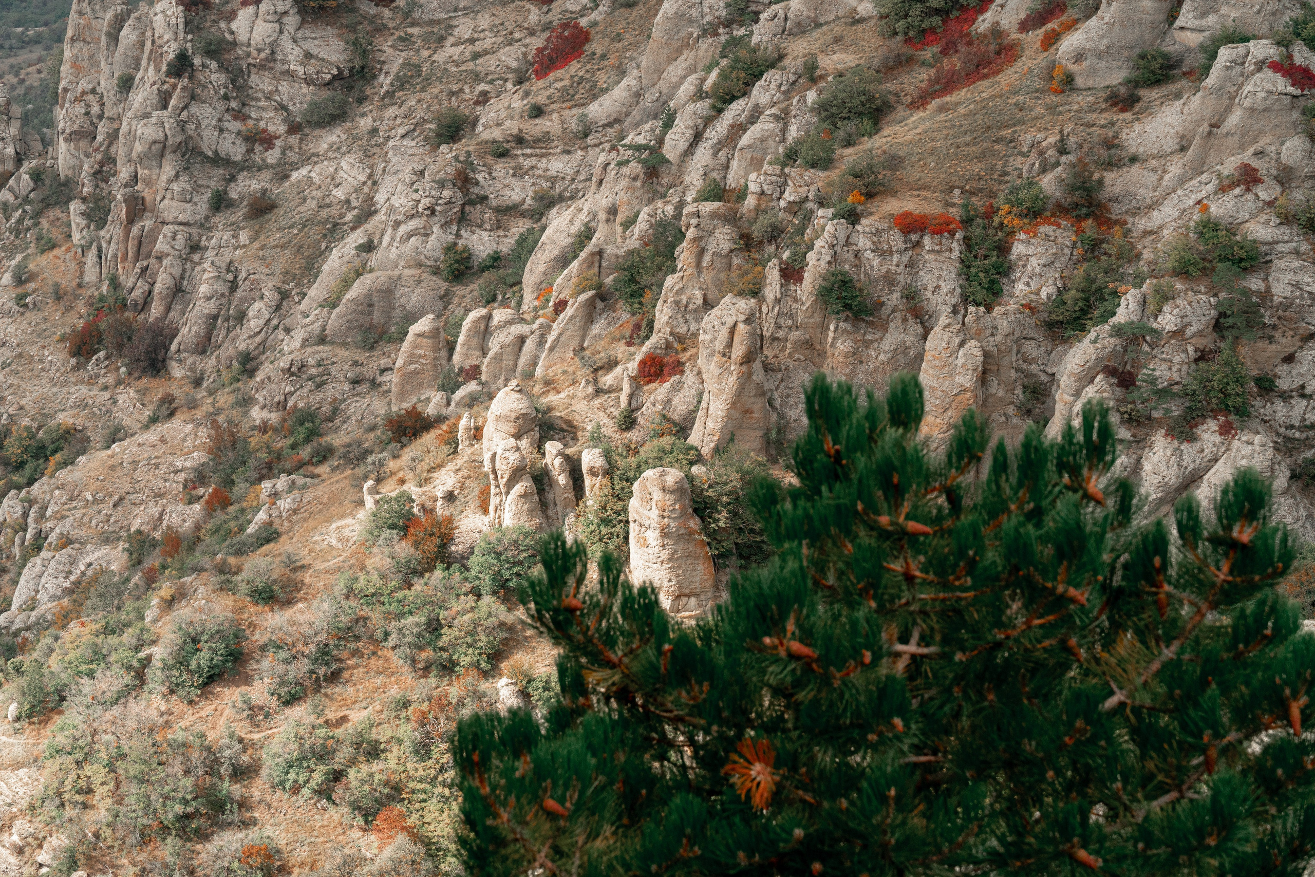 Путешествия и пейзаж. Репортажный фотограф в Красной Поляне и Сочи Павлюченко Екатерина