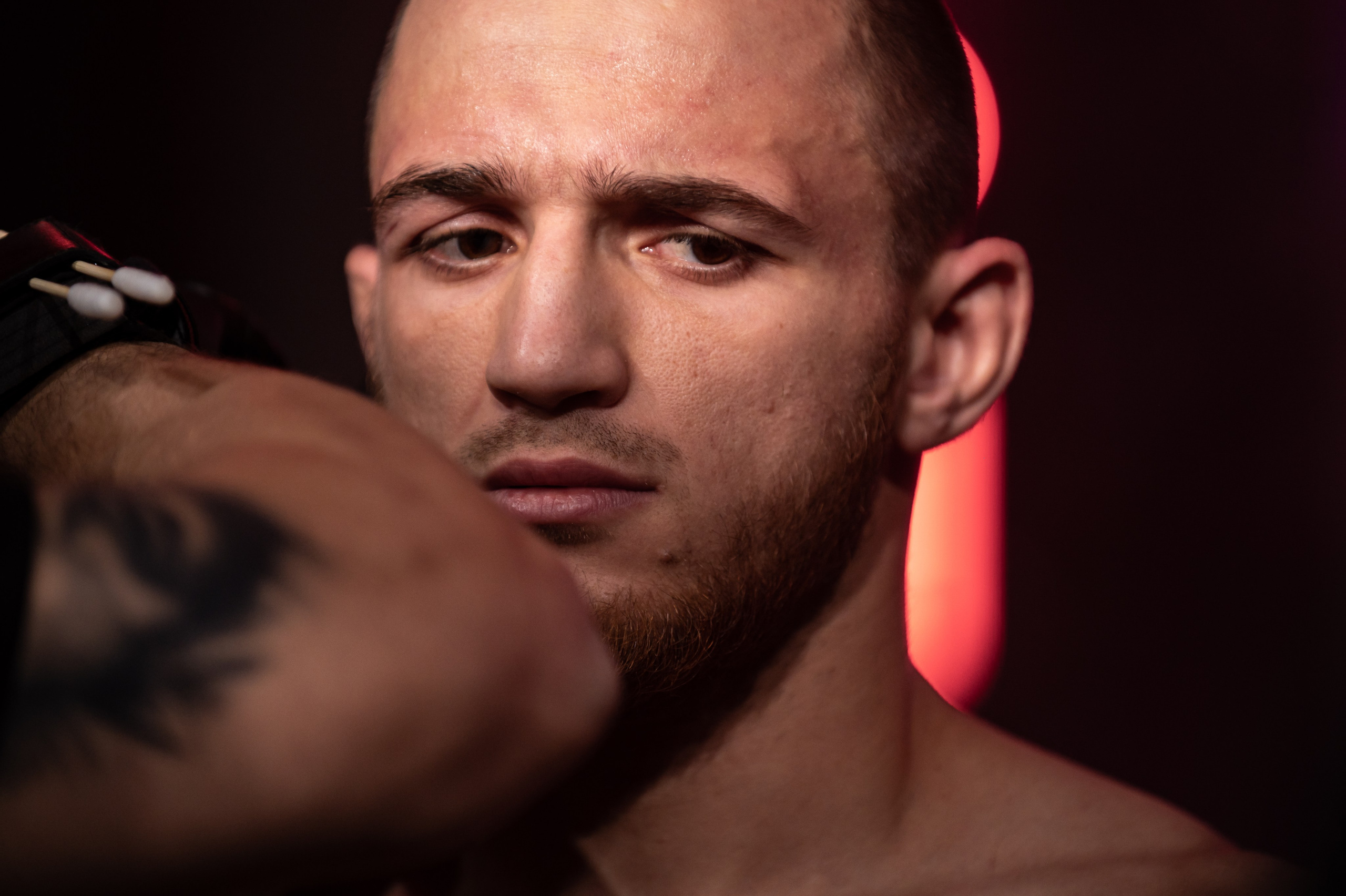 Бои. Репортажный фотограф в Красной Поляне и Сочи Павлюченко Екатерина