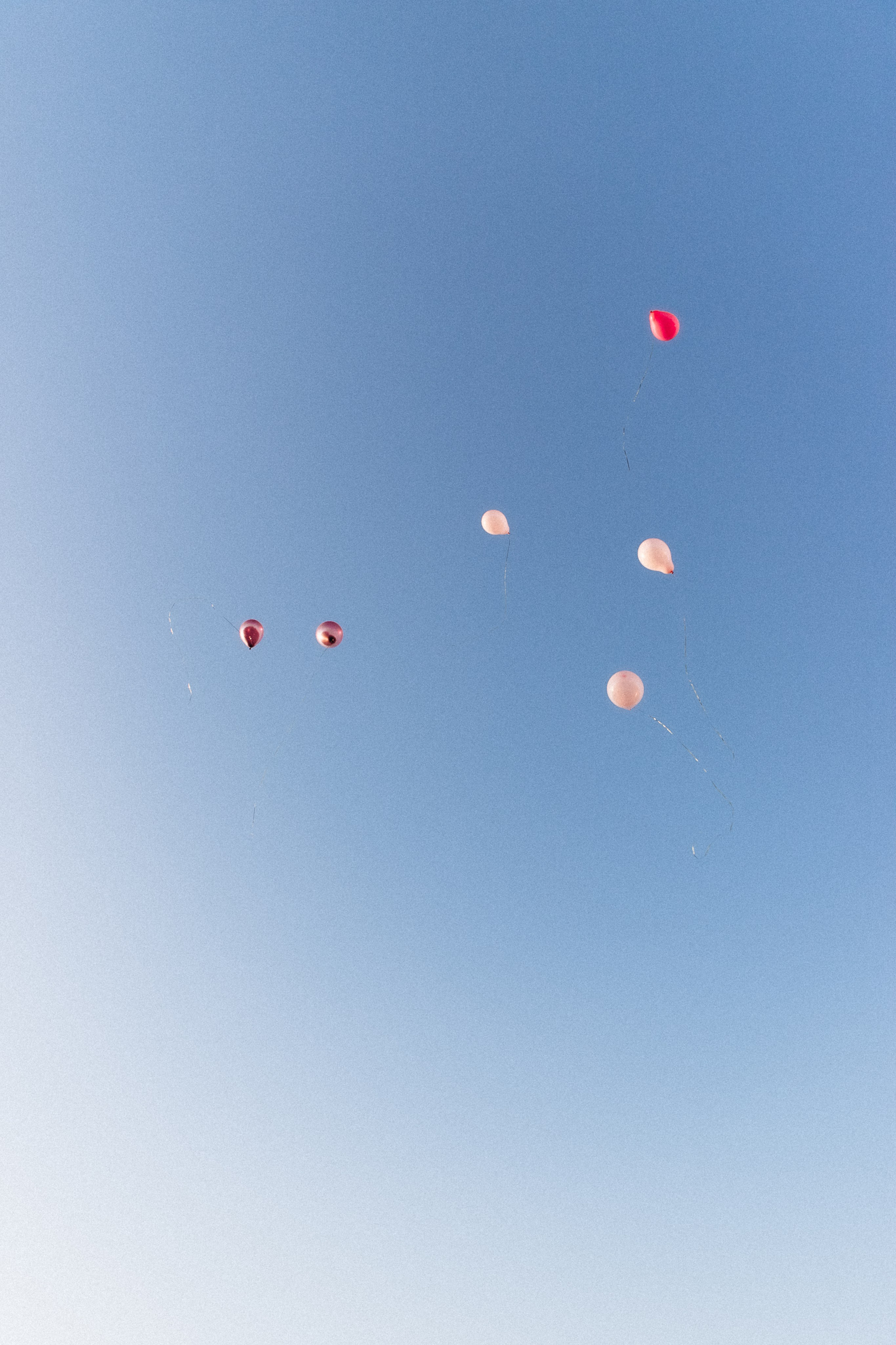 Одним тёплым весенним днём. Фотограф Сочи Адлер Сириус Красная Поляна Ошутина Анастасия