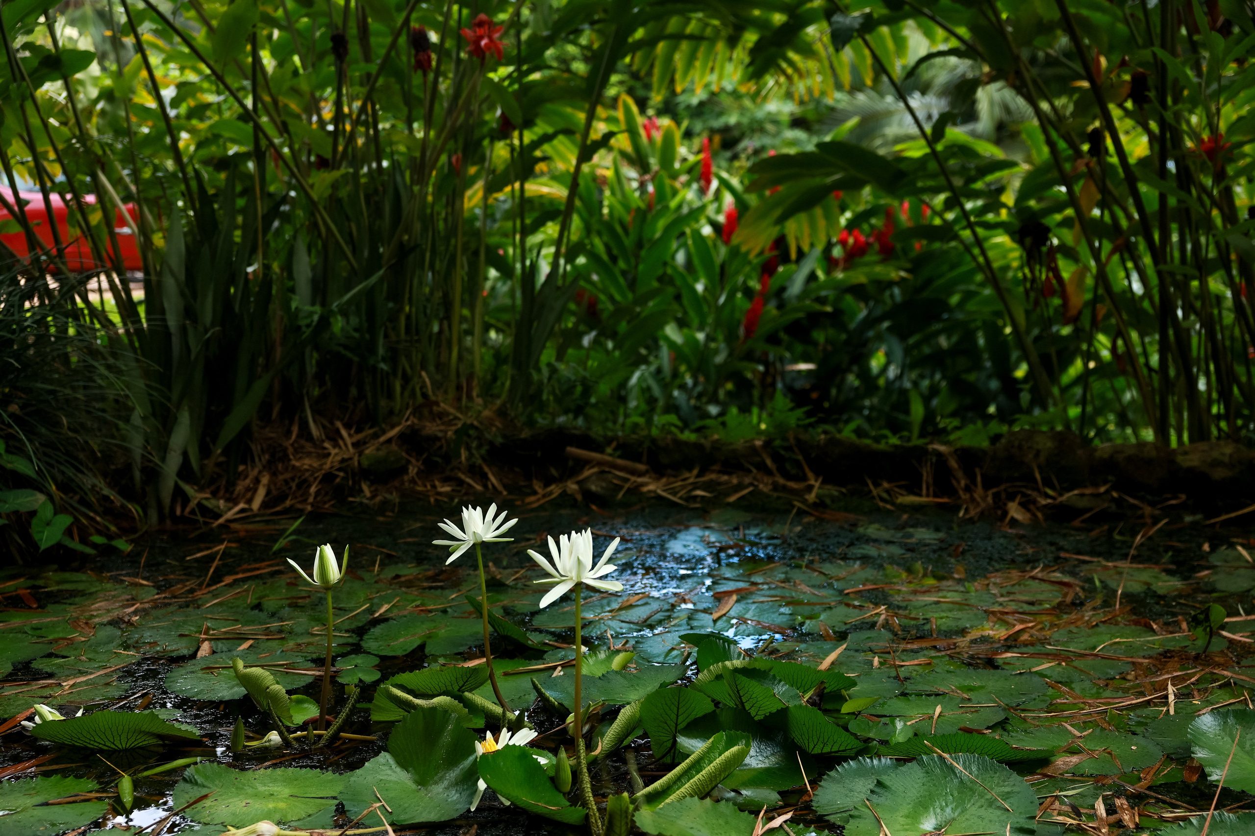 Йога-тур на Сейшелы. Дарья Бухреева — фотограф, видеограф и фототерапевт. Москва и мир