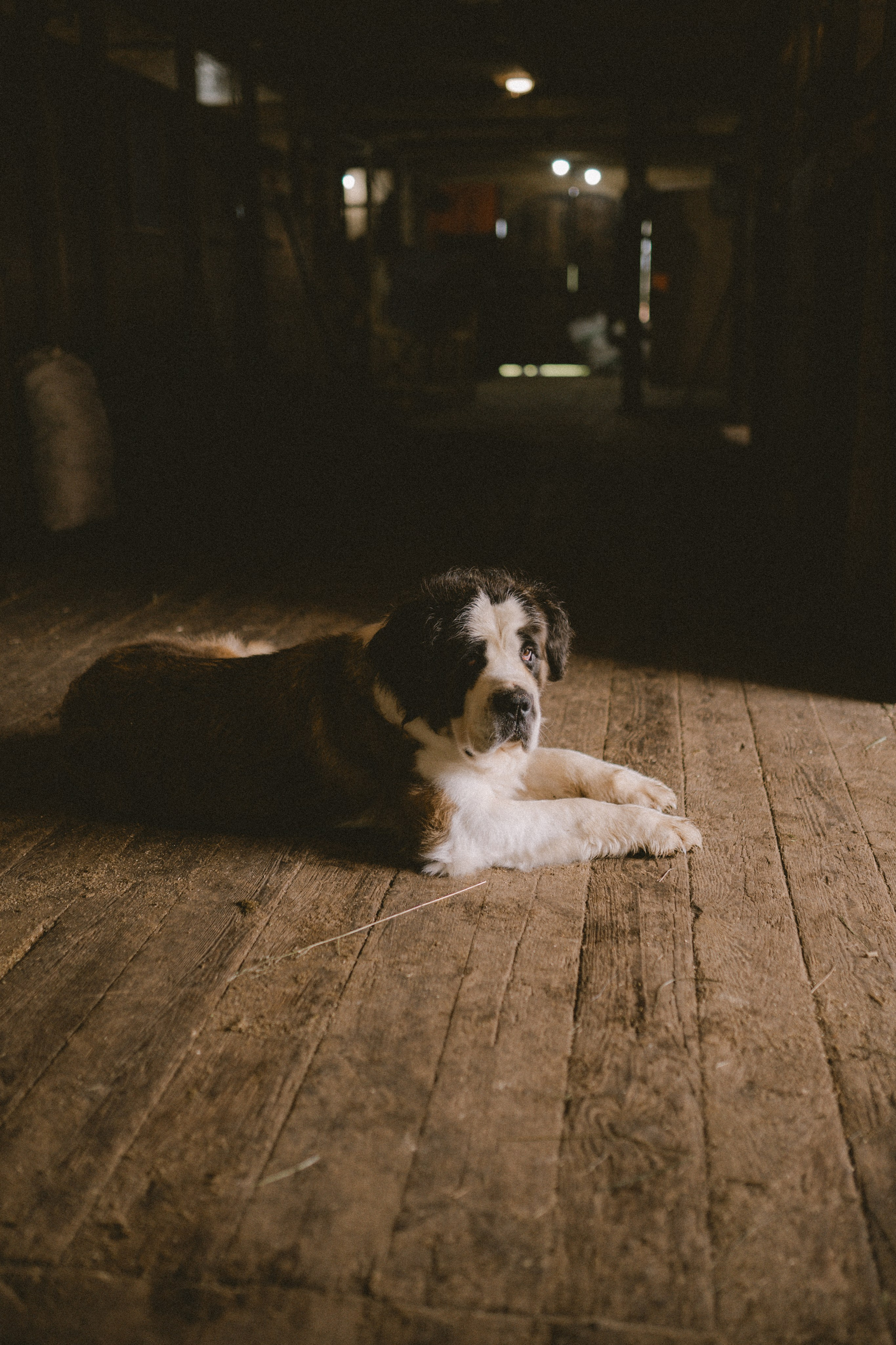 Санкт-Петербург. Фотограф Екатерина Катунова | Москва