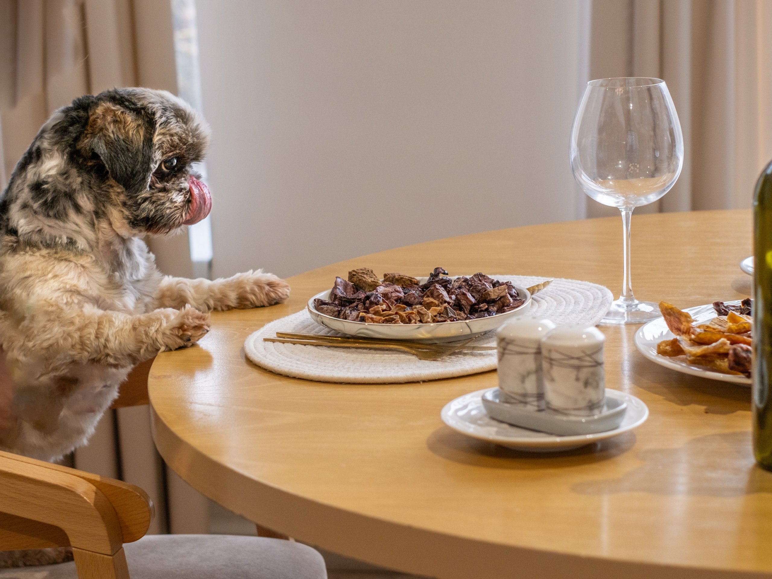 Съёмка для рекламной кампании лакомств для собак (для Григория)!. Зоофотограф, фотограф животных в Москве и области Дина Дамоцева