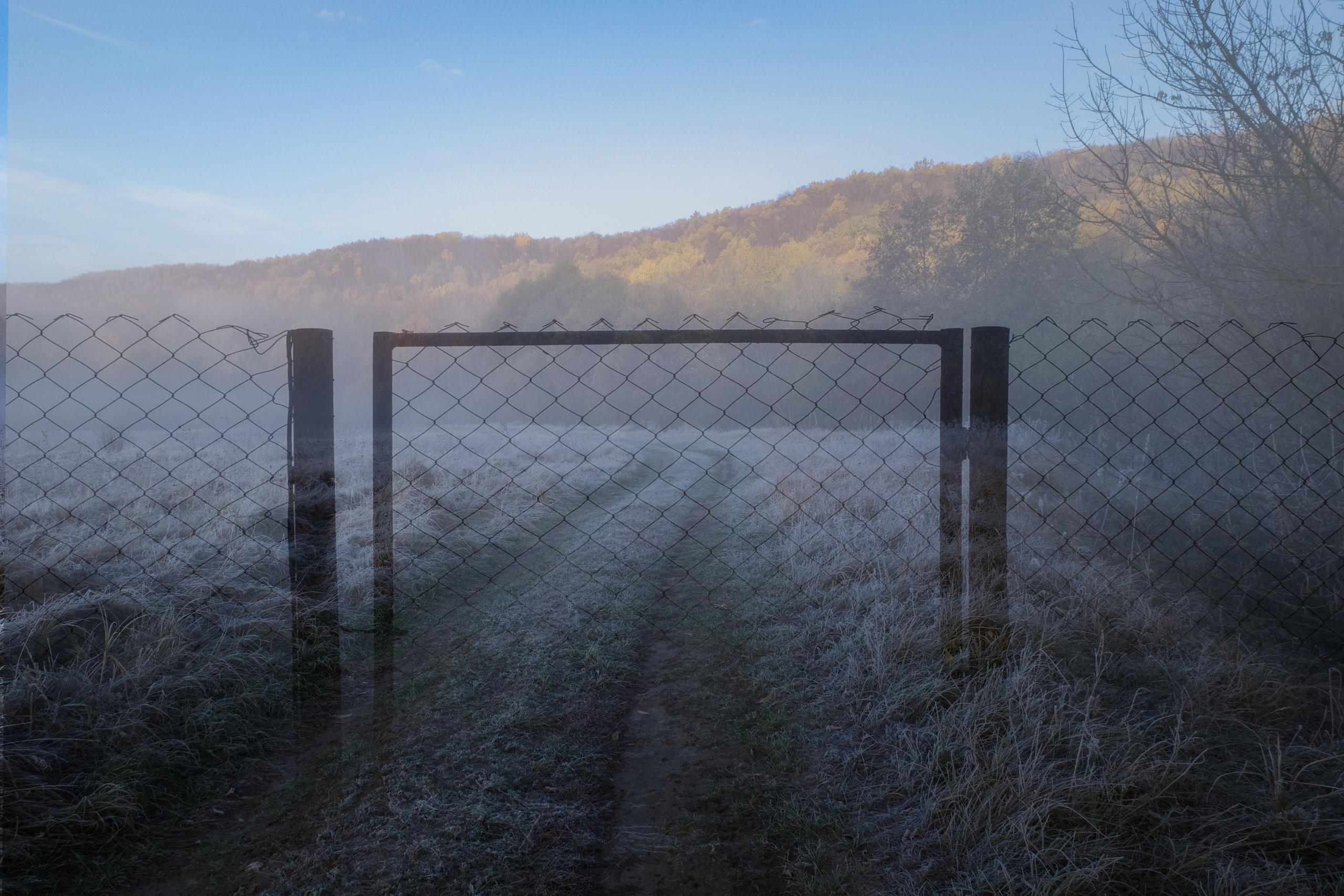 О границах реального. Междисциплинарный художник Екатерина Старовойтова