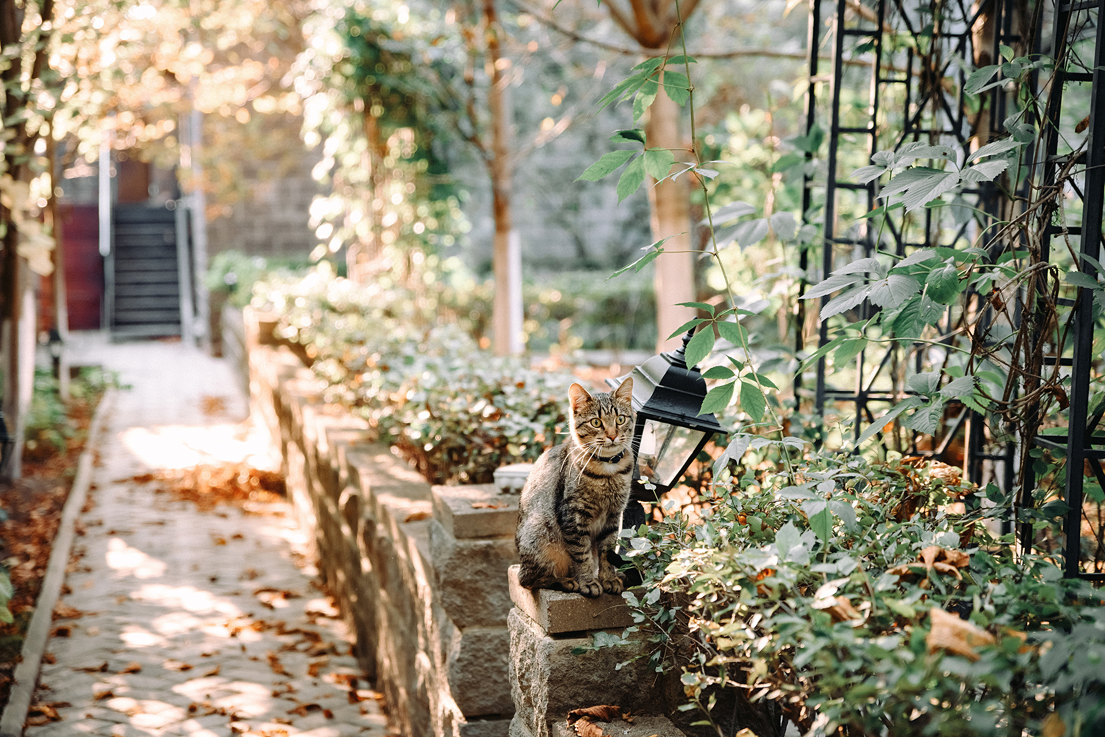 Свадебная история — Соня и Кит. Фотограф в Саранске Дмитрий Емелин