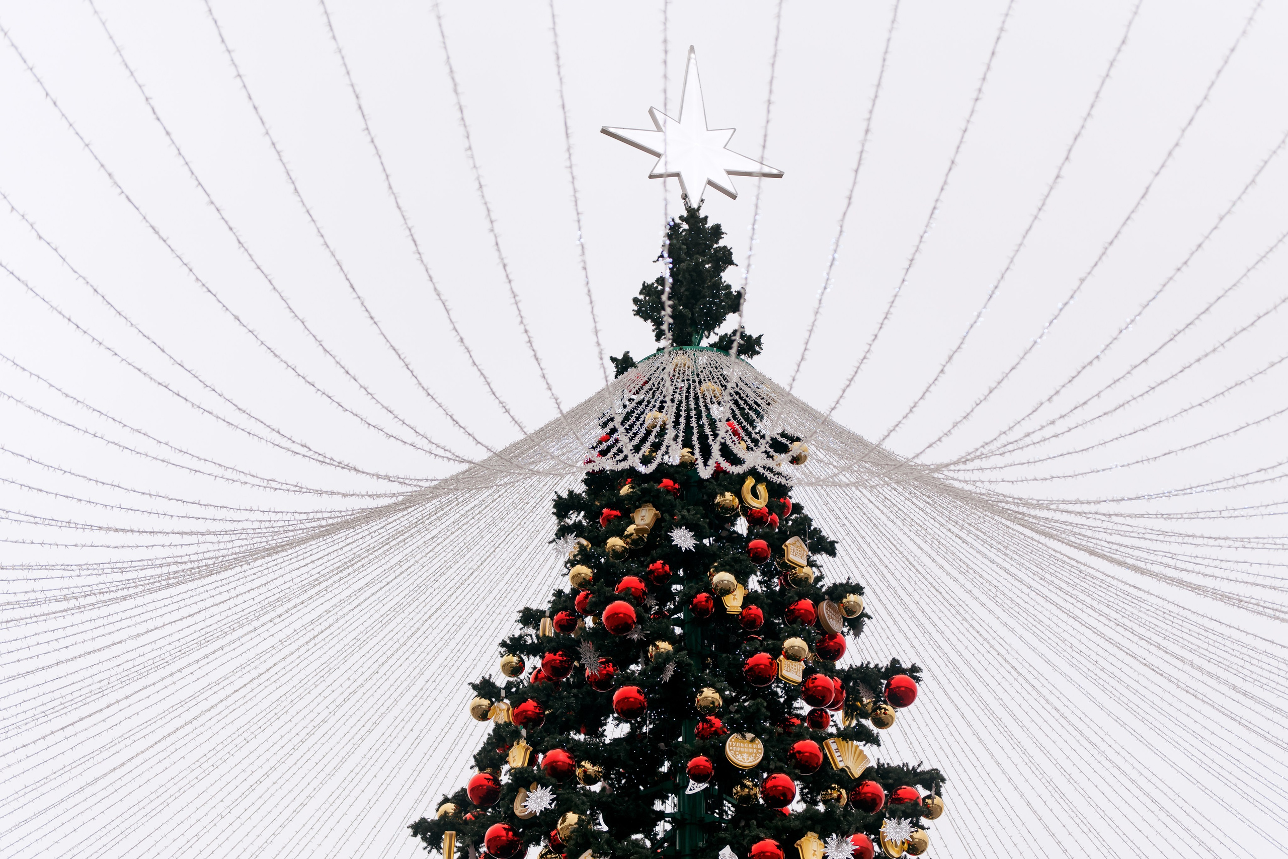 Наша новая елка. Свадебный и портретный фотограф — Мария Костина