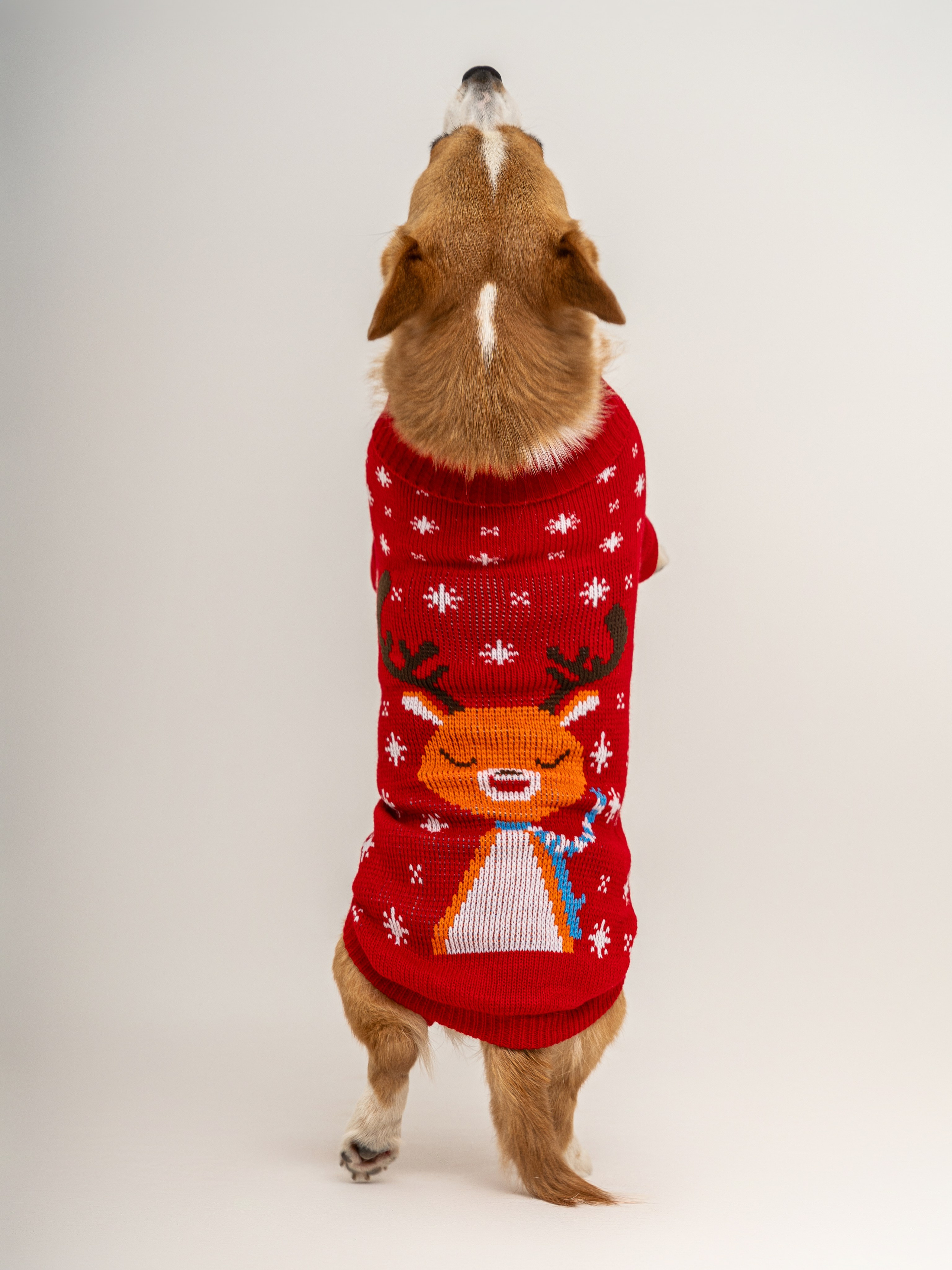 Предметная и каталожная съемка портфолио (фото)