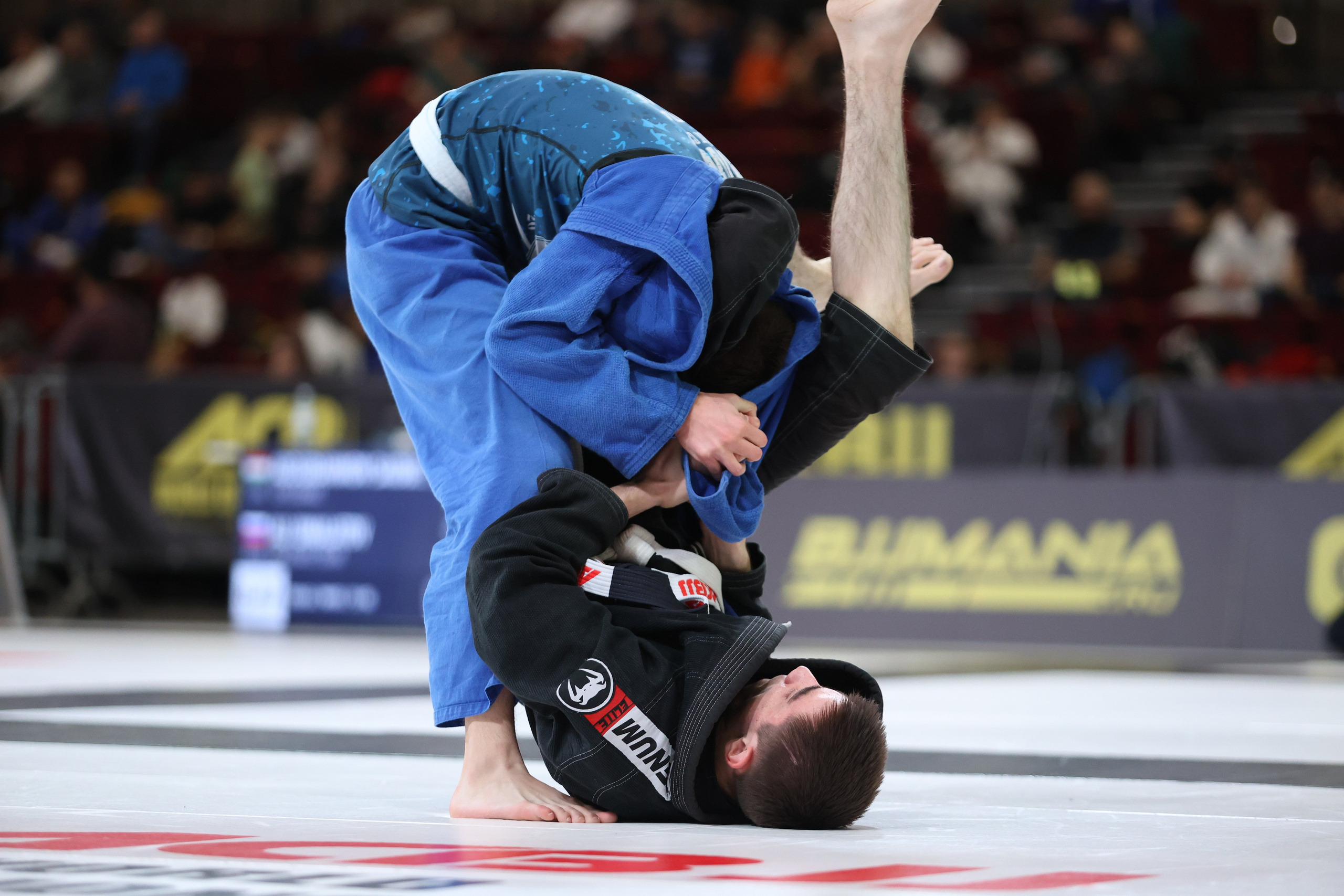 ACBJJ WORLD CHAMPIONSHIP 2023. Репортажный, Event фотограф в Санкт-Петербурге и ЛО Морозов Дмитрий