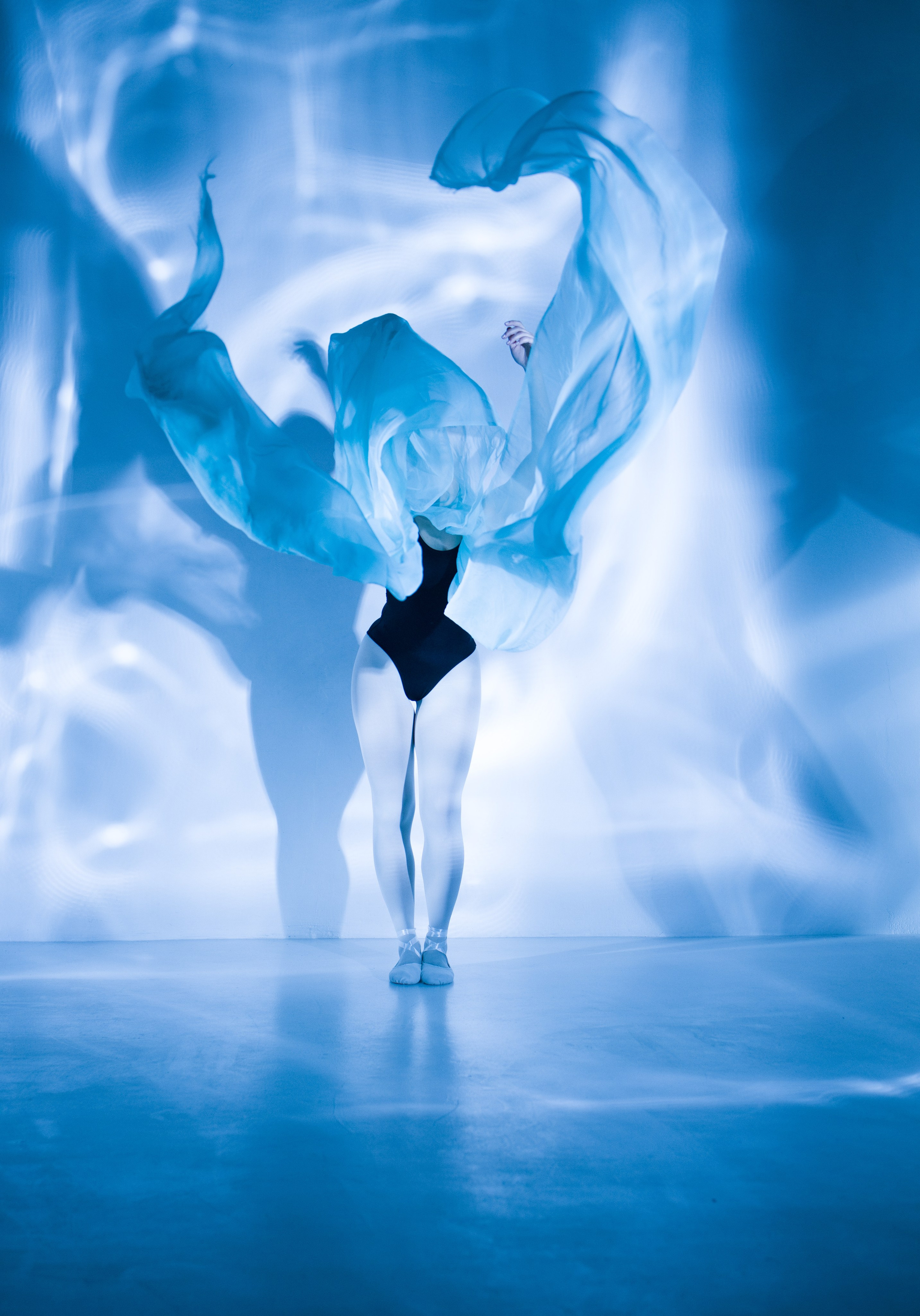 Лилия. Художественная фотография