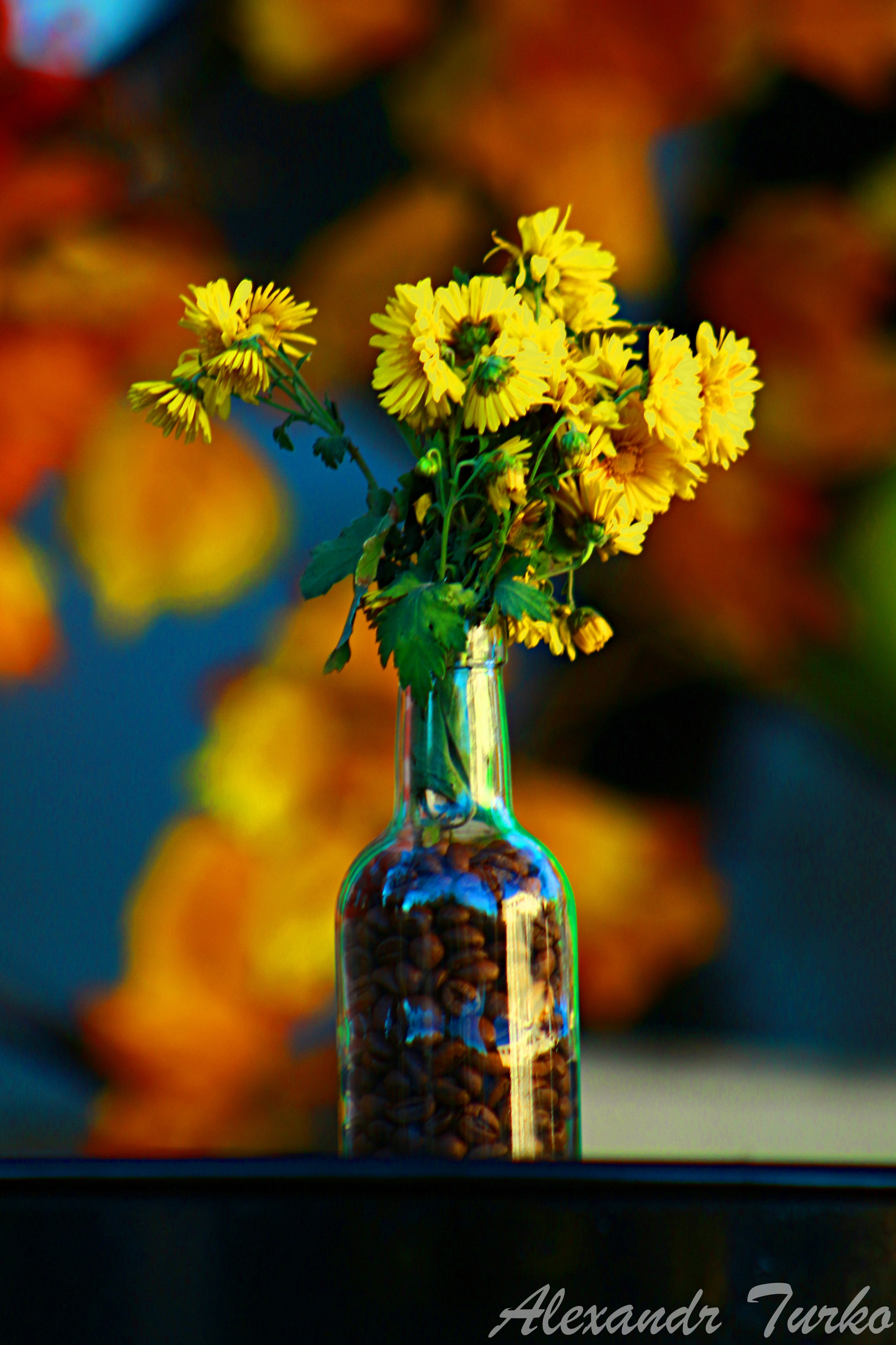 Пейзажи. Фотограф из Донецка Александр Турко