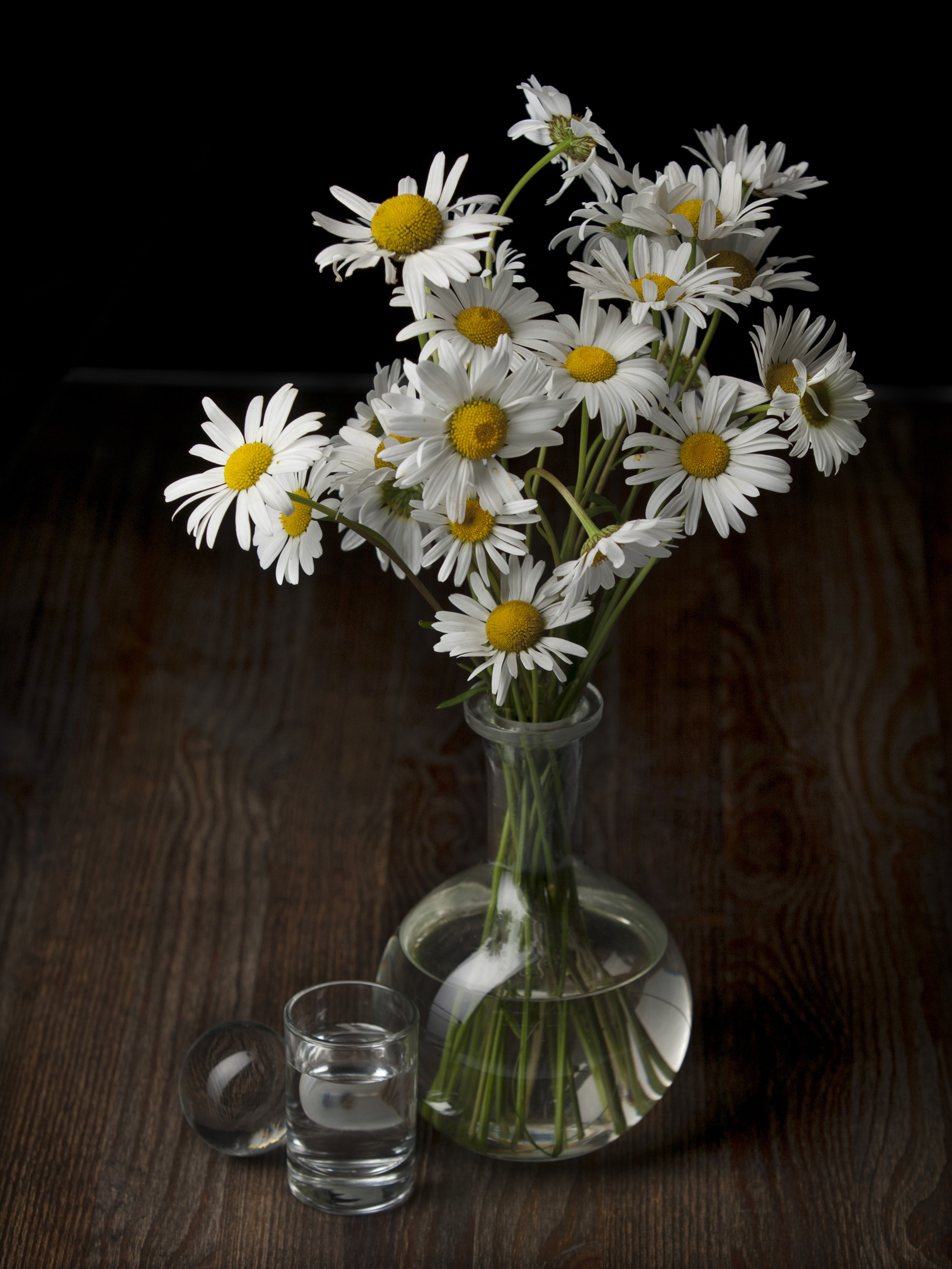 Цветы. Фотограф Мария Кольцова