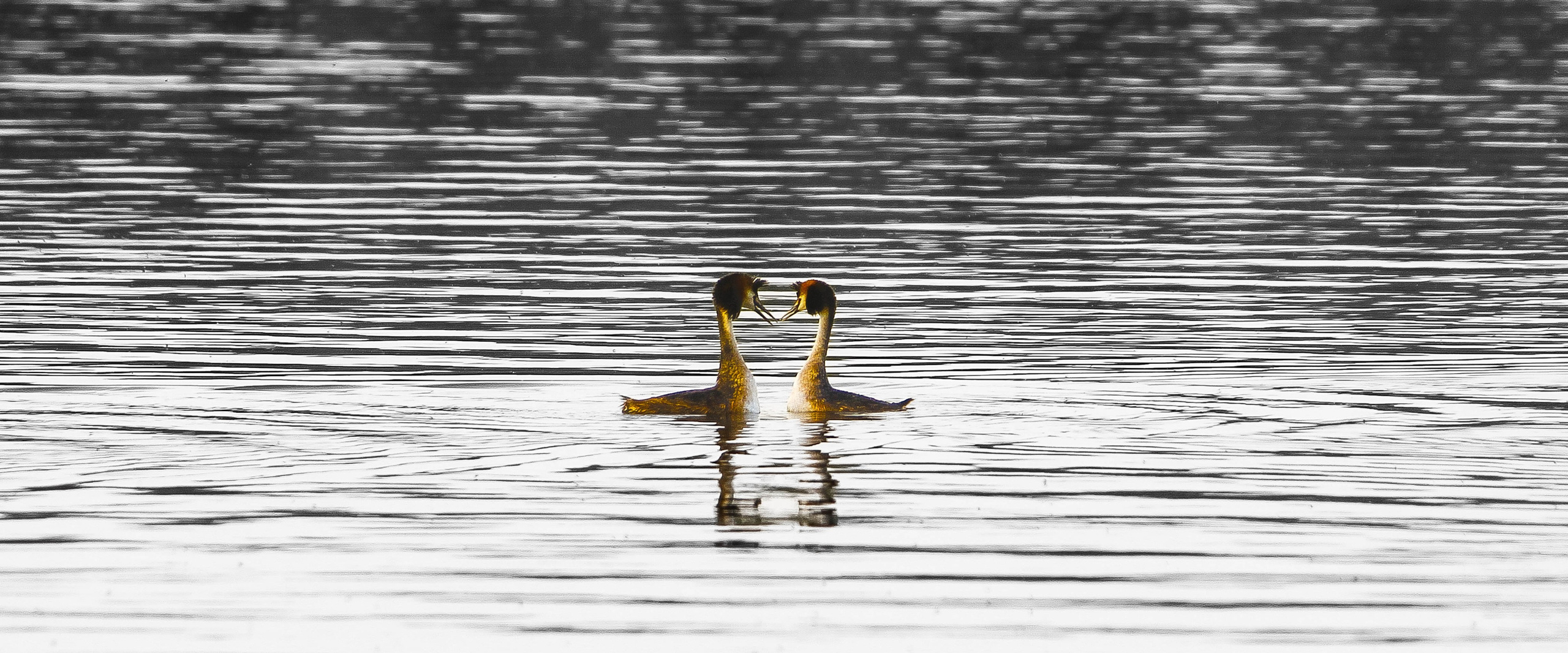 ПЛАНЕТА ЗЕМЛЯ (пейзаж). АЛЕКСЕЙ КОЛМАКОВ. Фотограф. Москва и Московская область