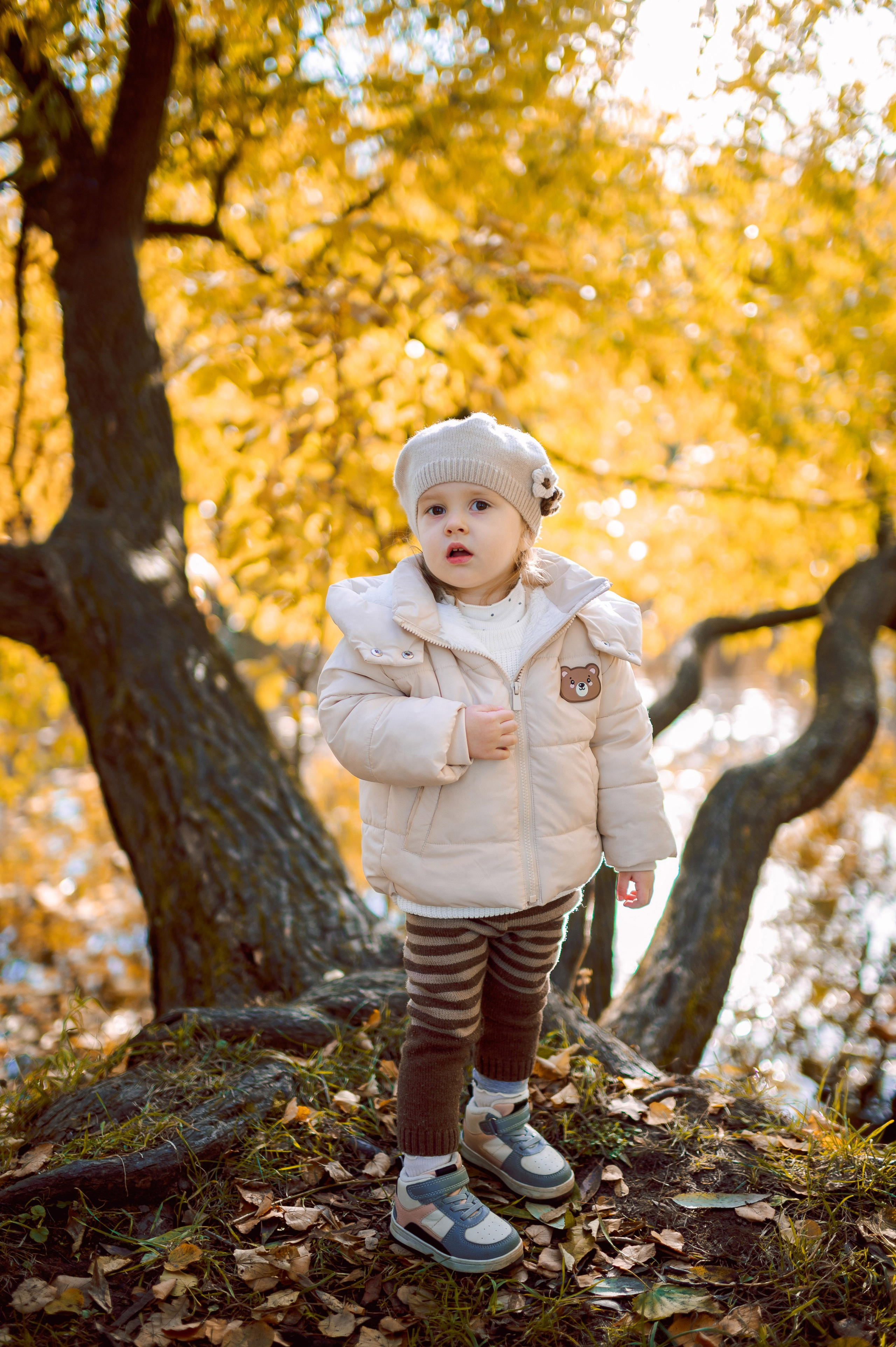 Осенняя семейная прогулка. Портретный, семейный и свадебный фотограф в Санкт-Петербурге и в Пушкине Ширяев Денис