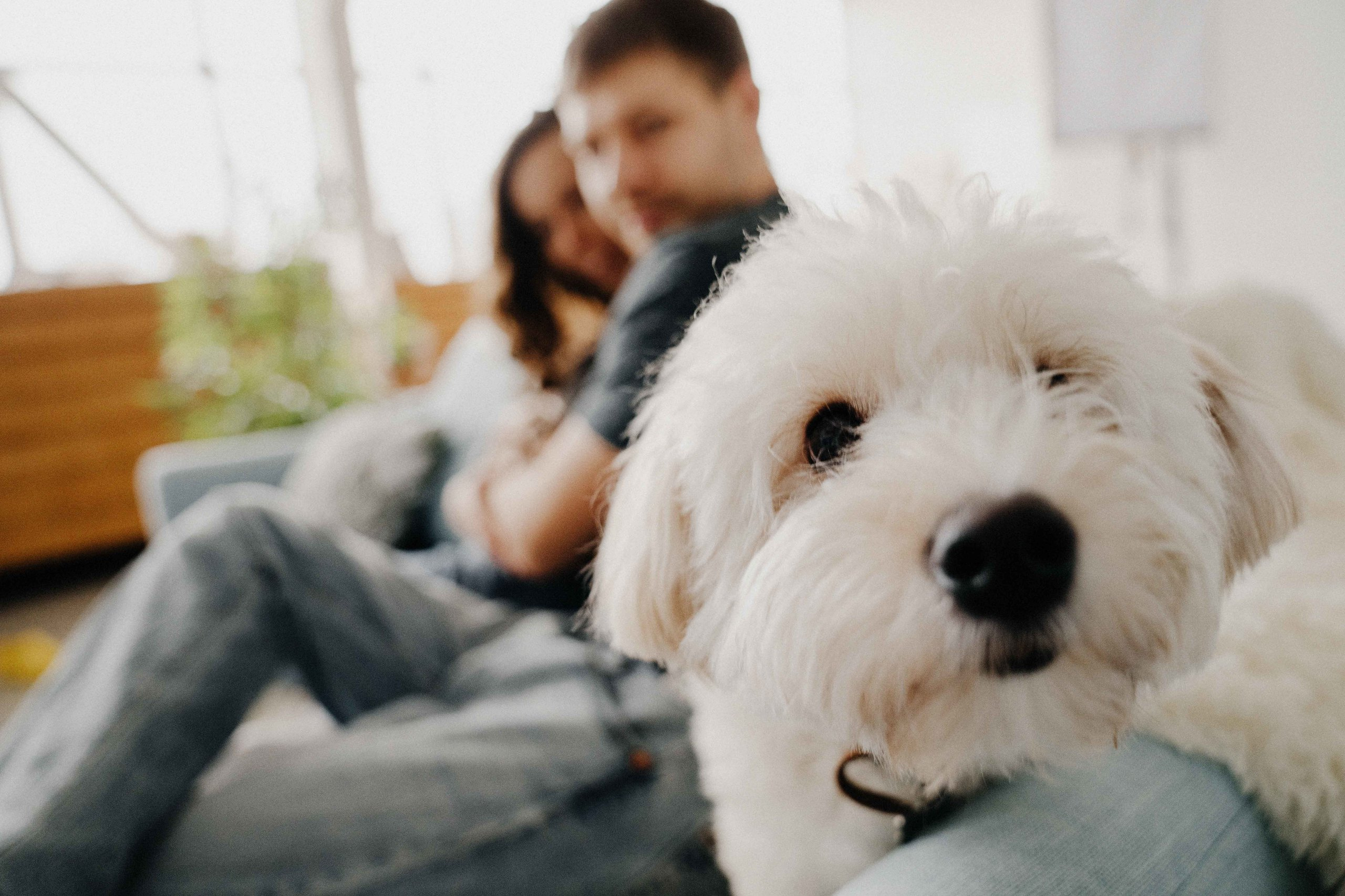 Софи и Сергей. Катя Завьялова