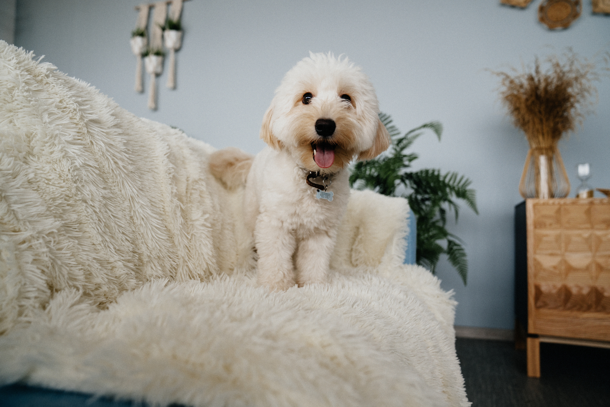 Софи и Сергей. Катя Завьялова