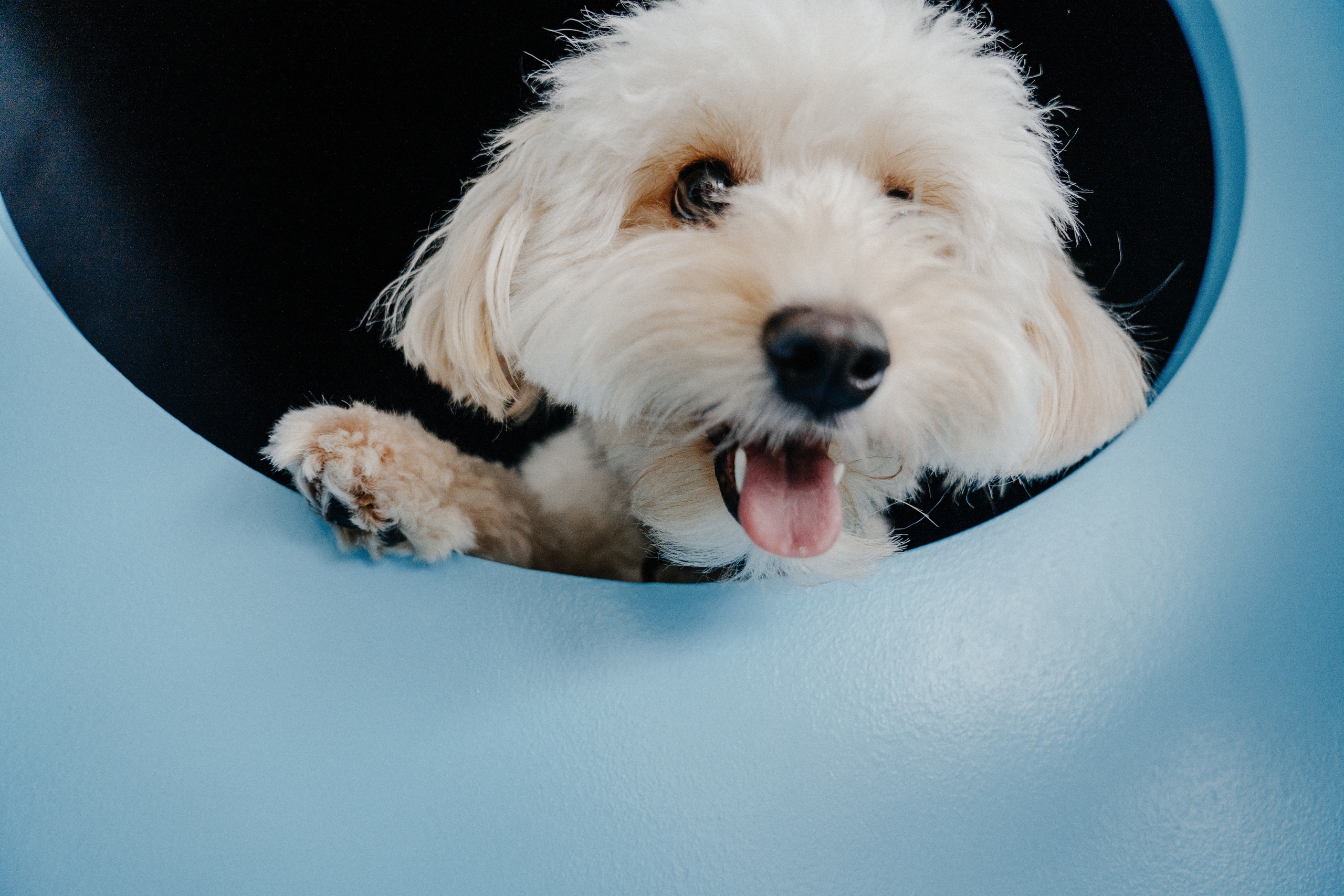 Софи и Сергей. Катя Завьялова