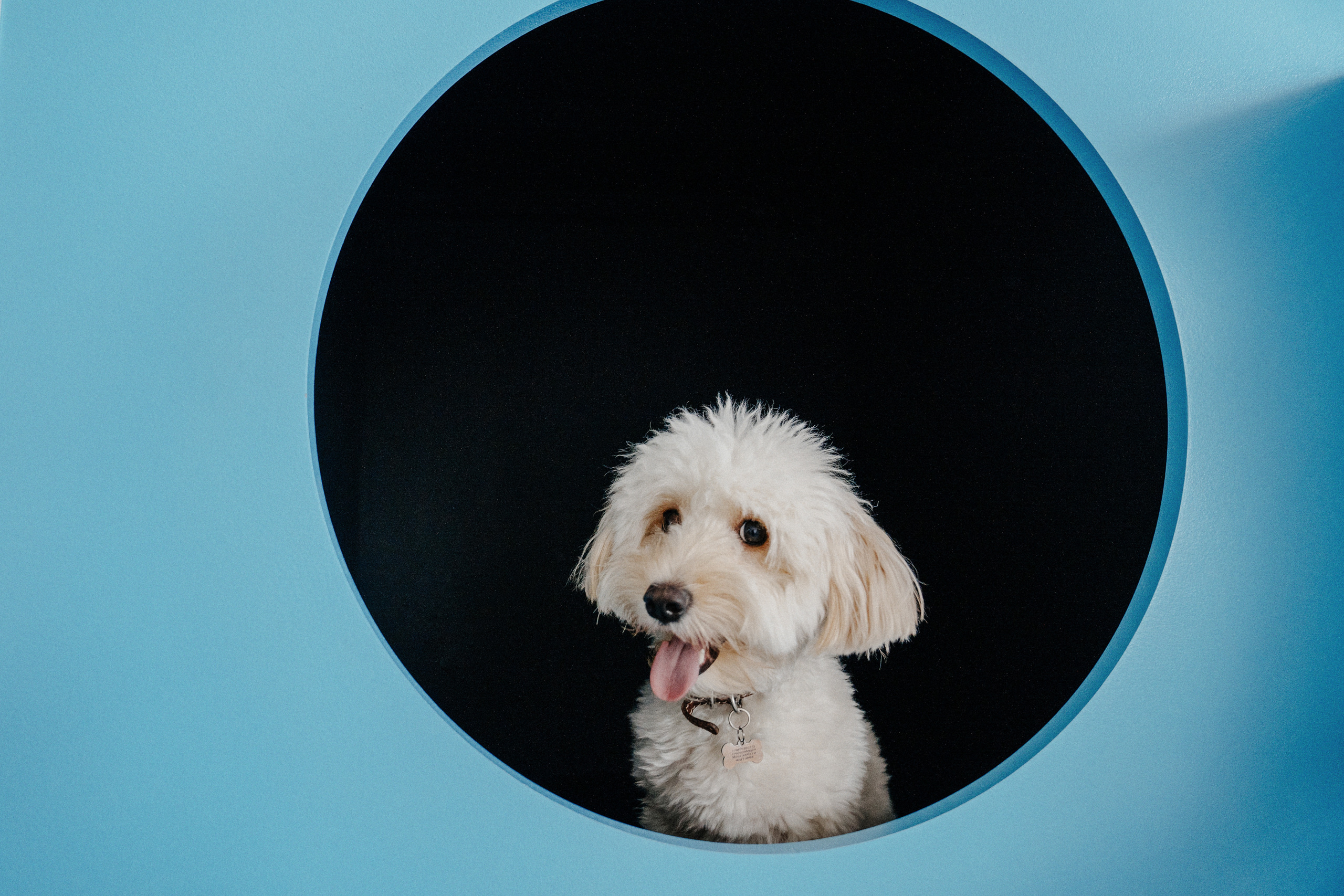 Софи и Сергей. Катя Завьялова