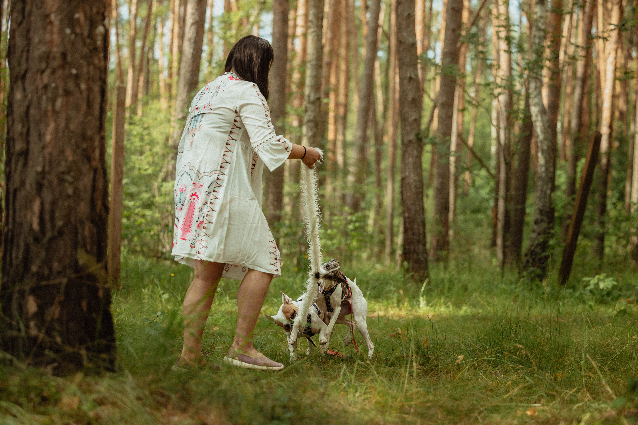 Выездной дог-тренинг от школы «Шерсть имею»