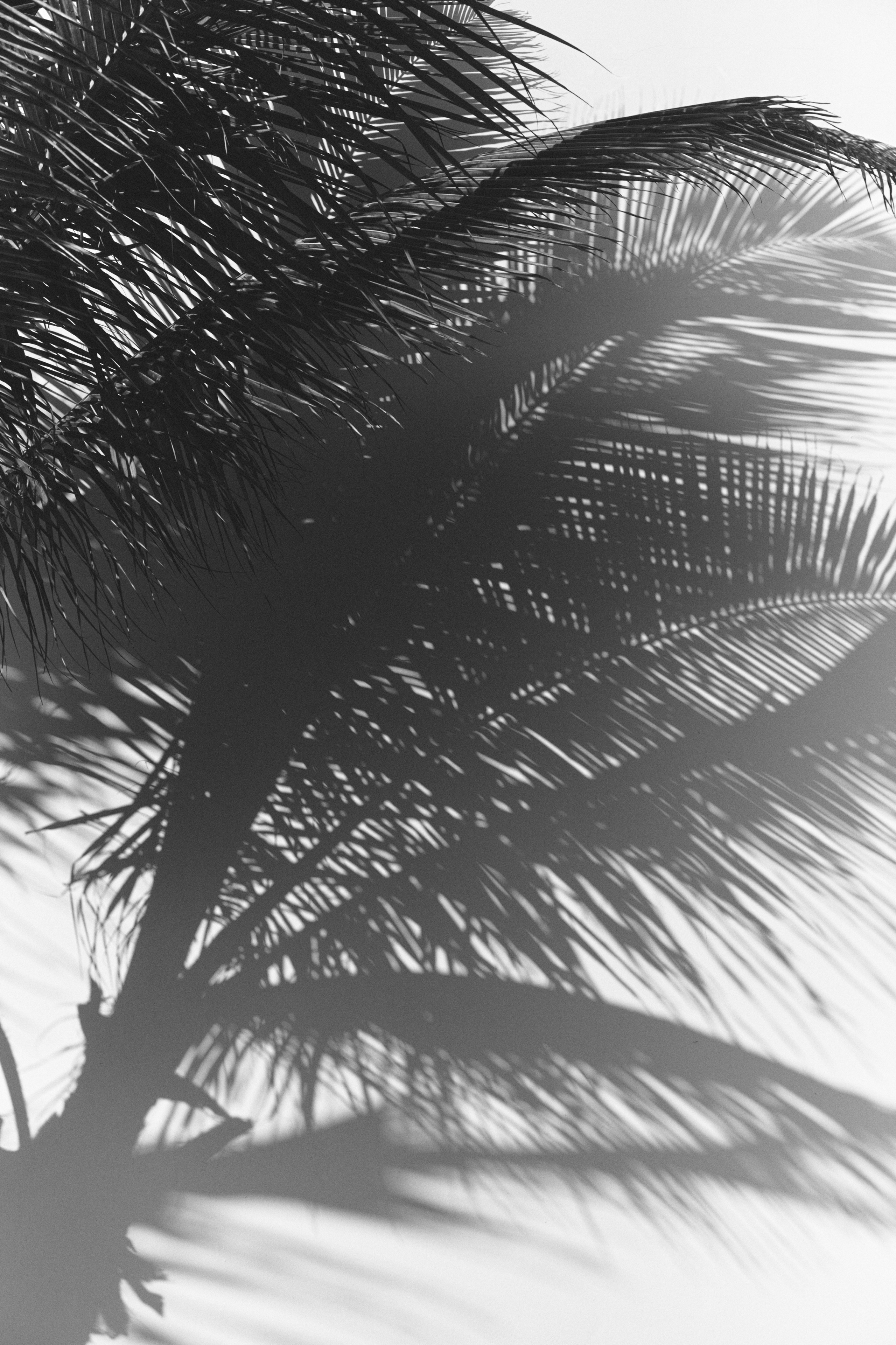 U Magazine x Выездная редакция. Фотограф Сурков Никита