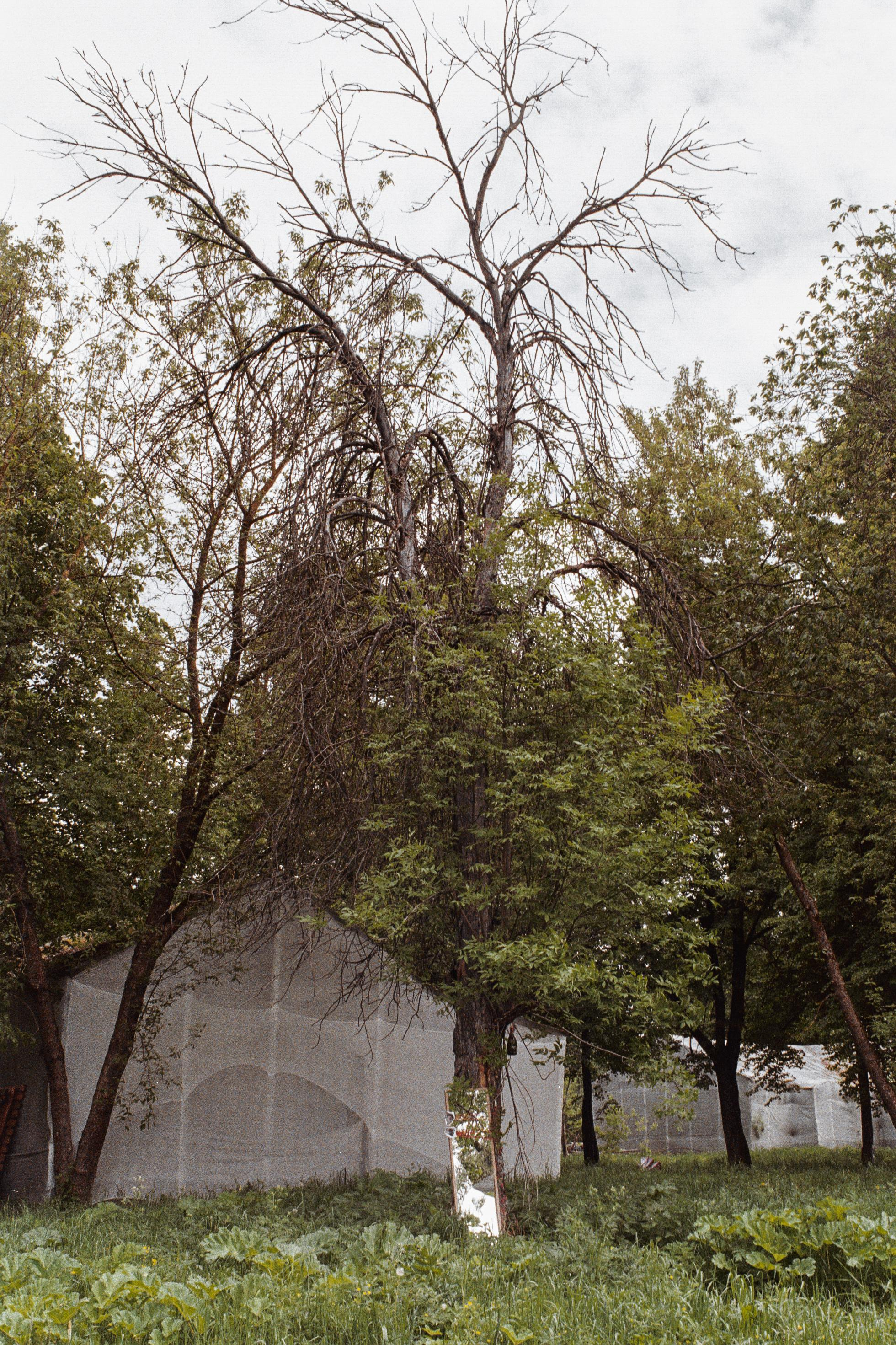 Предсказания. Asya Bobritskaya is a multidisciplinary artist