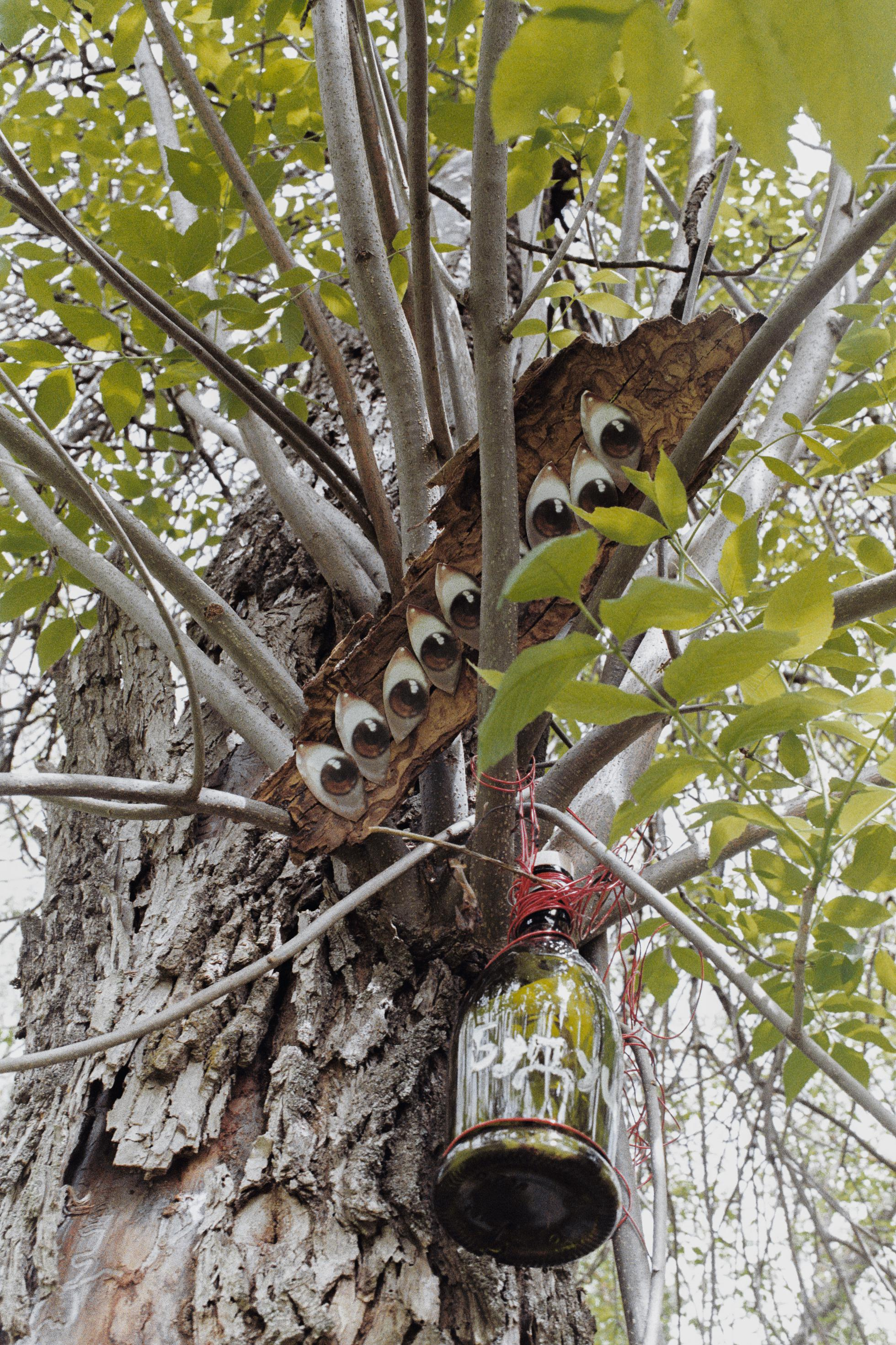 Предсказания. Asya Bobritskaya is a multidisciplinary artist
