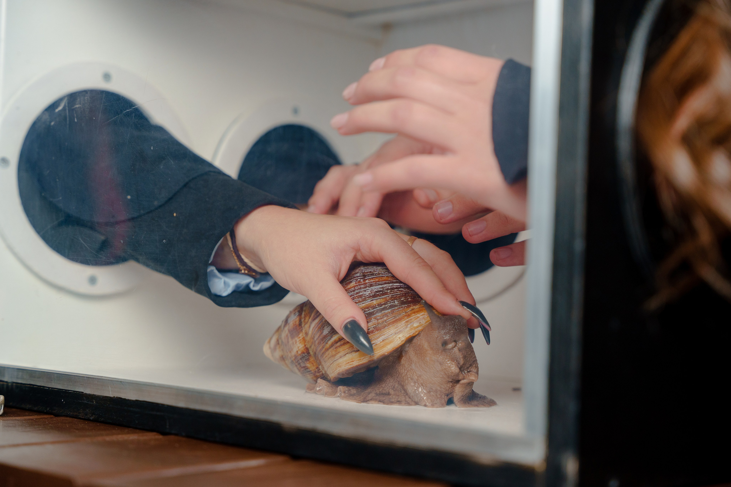 Репортажный фотограф на день рождения в Москве. Репортажный фотограф Москва Сергей Дружинин