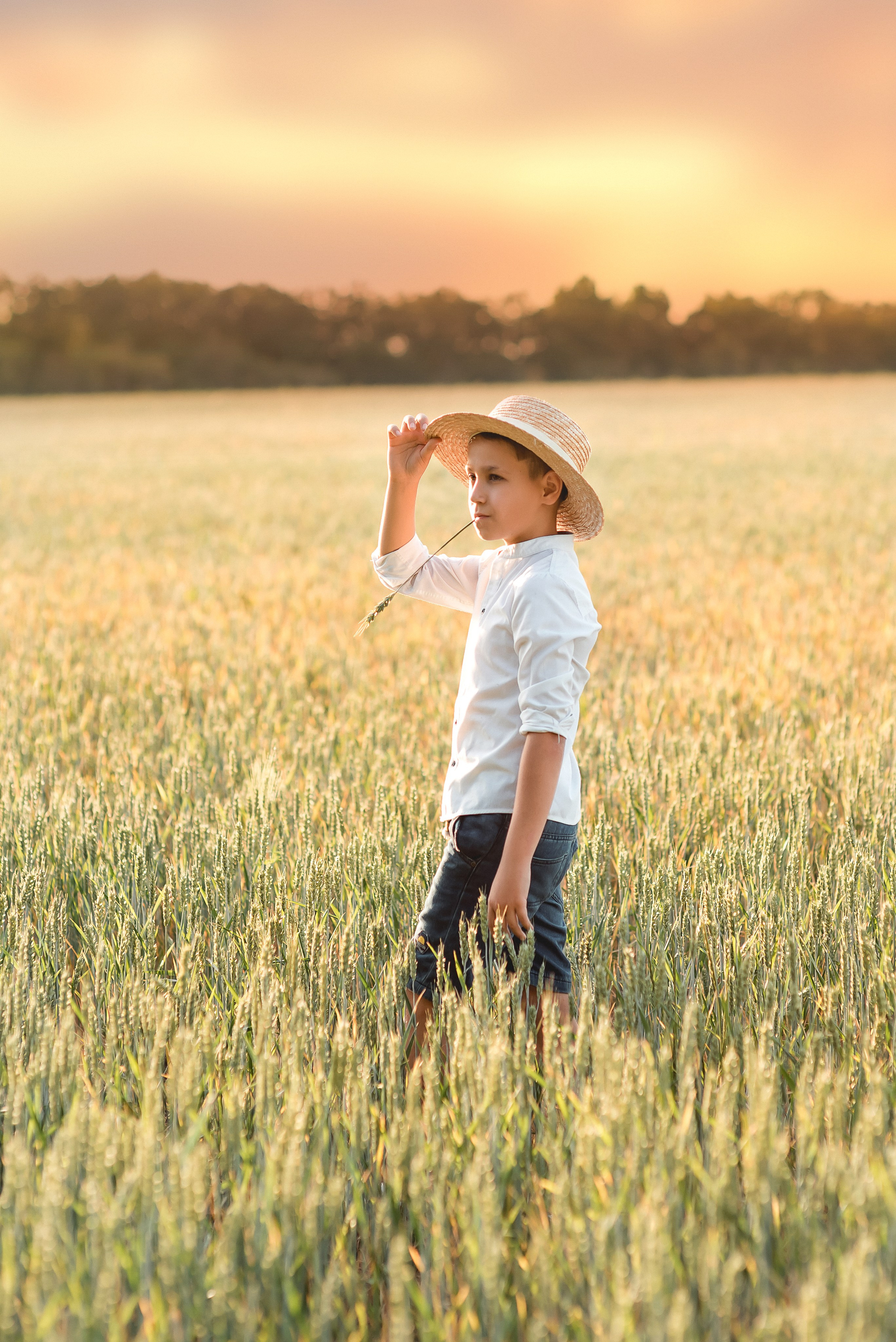 Съемка в полях 2024. Семейный и детский фотограф Наталья Горда