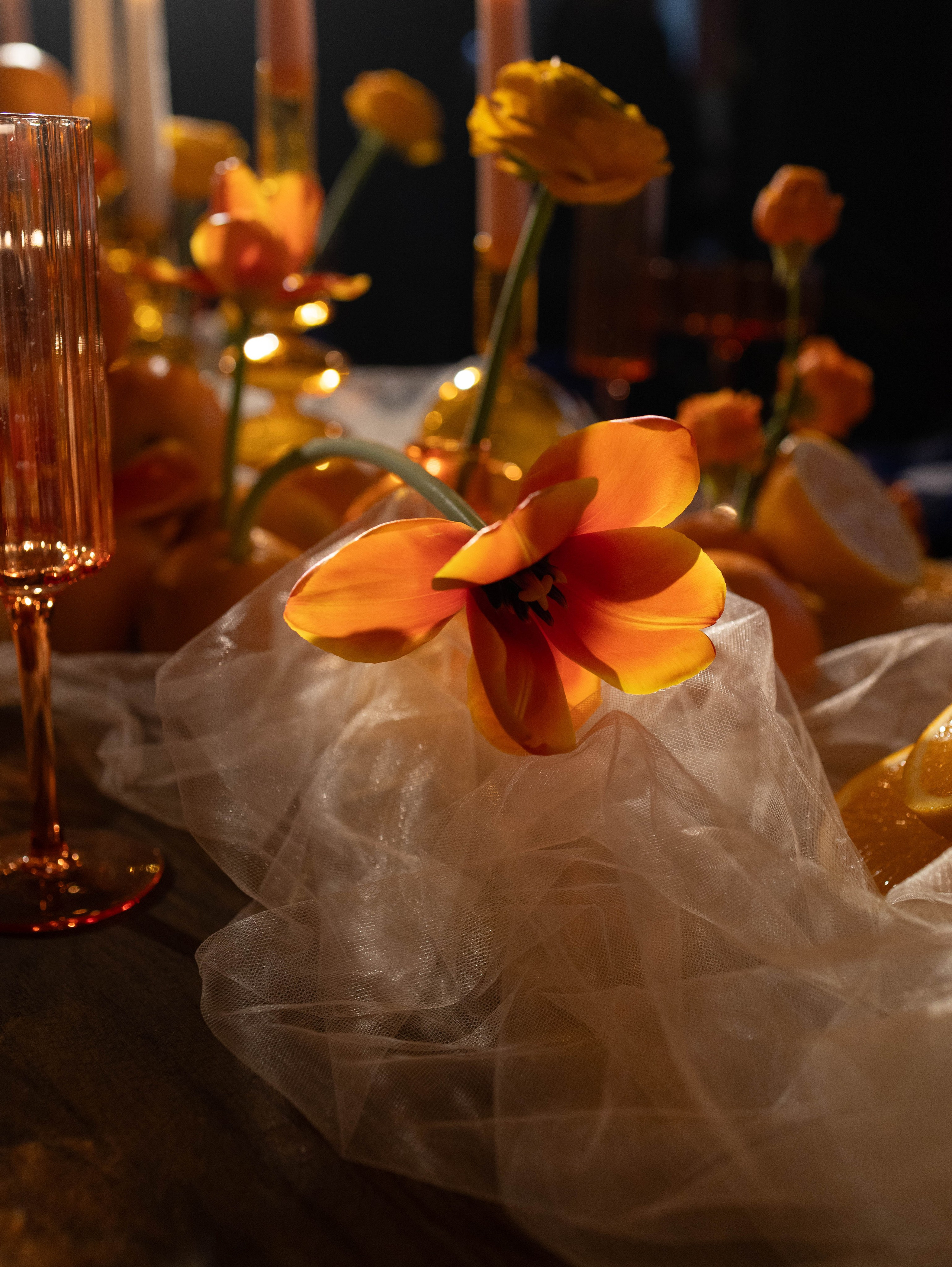 Миша и Алина | камерная свадьба. Свадебный фотограф в Москве Наталья Струкова