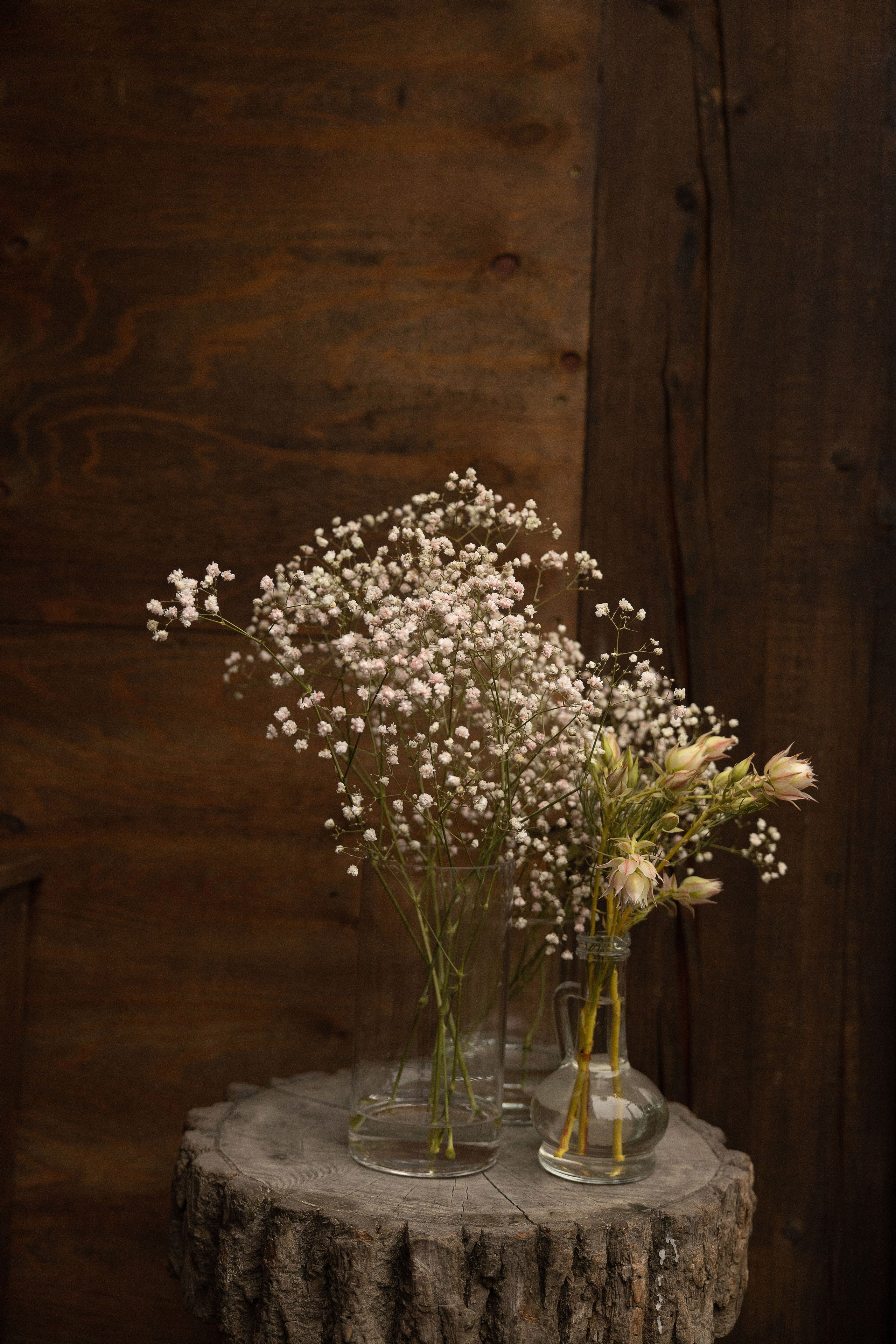 Анастасия и Владислав. Свадебный и семейный фотограф  во Владивостоке Ольга Украинец