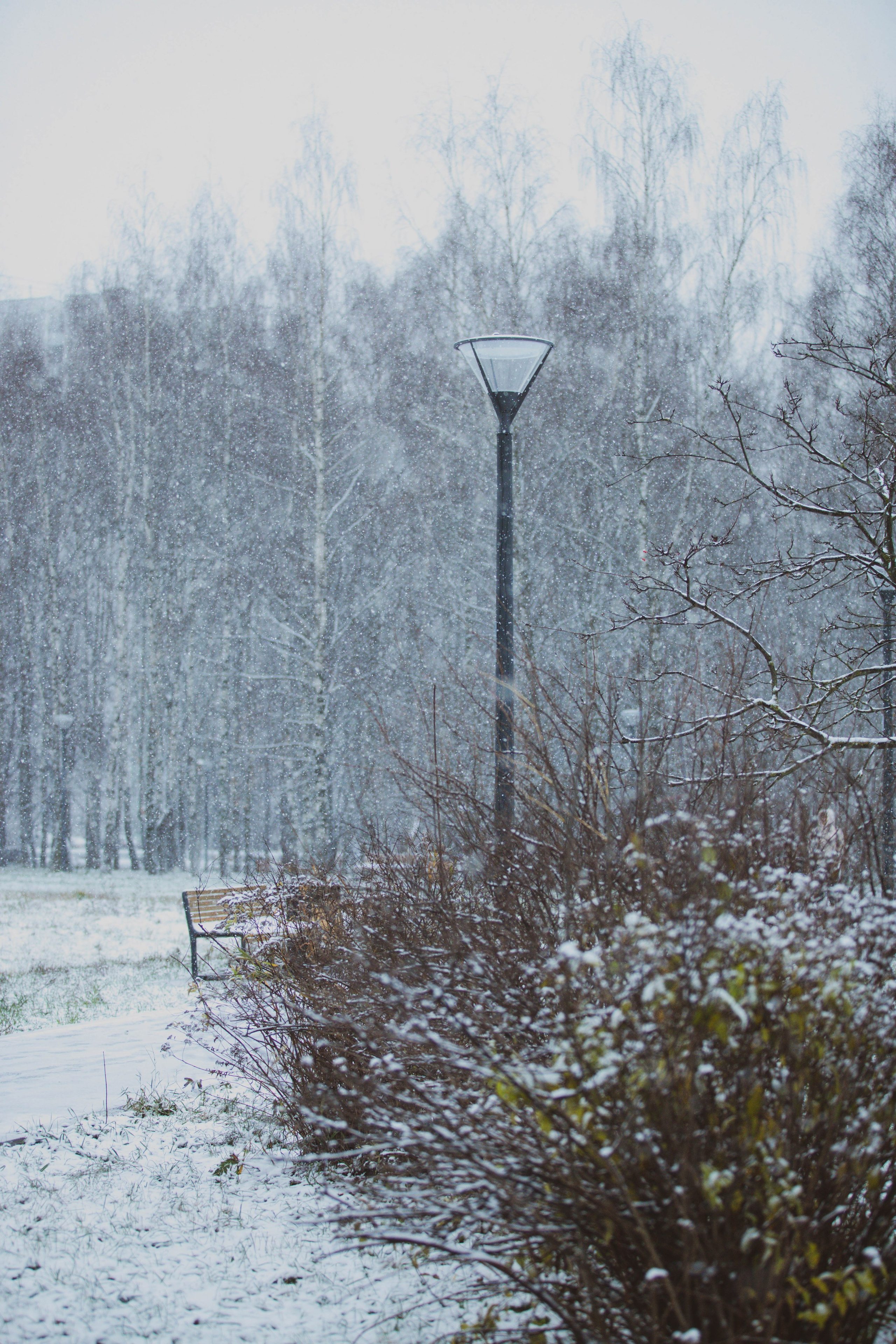 Снежные 5 Верст Бабушкинская. Александра Мельниченко/ Бегающий фотограф