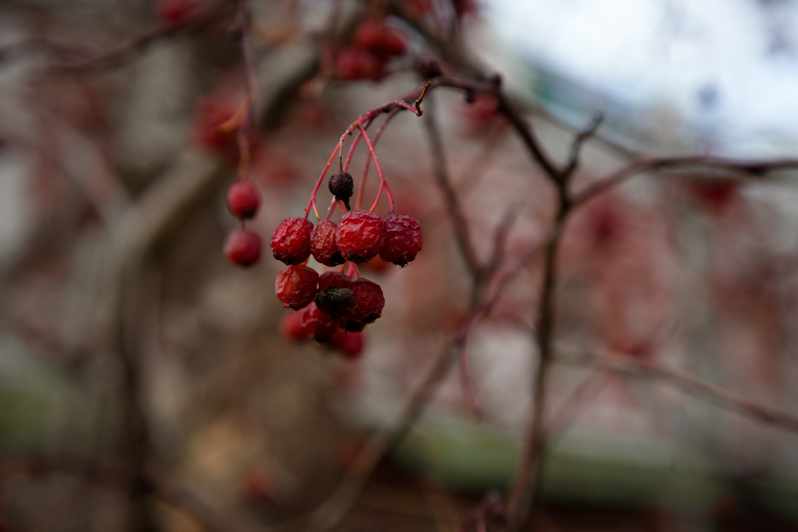 Старый Оренбург. Ваш фотограф в Оренбурге Рощупкина Екатерина
