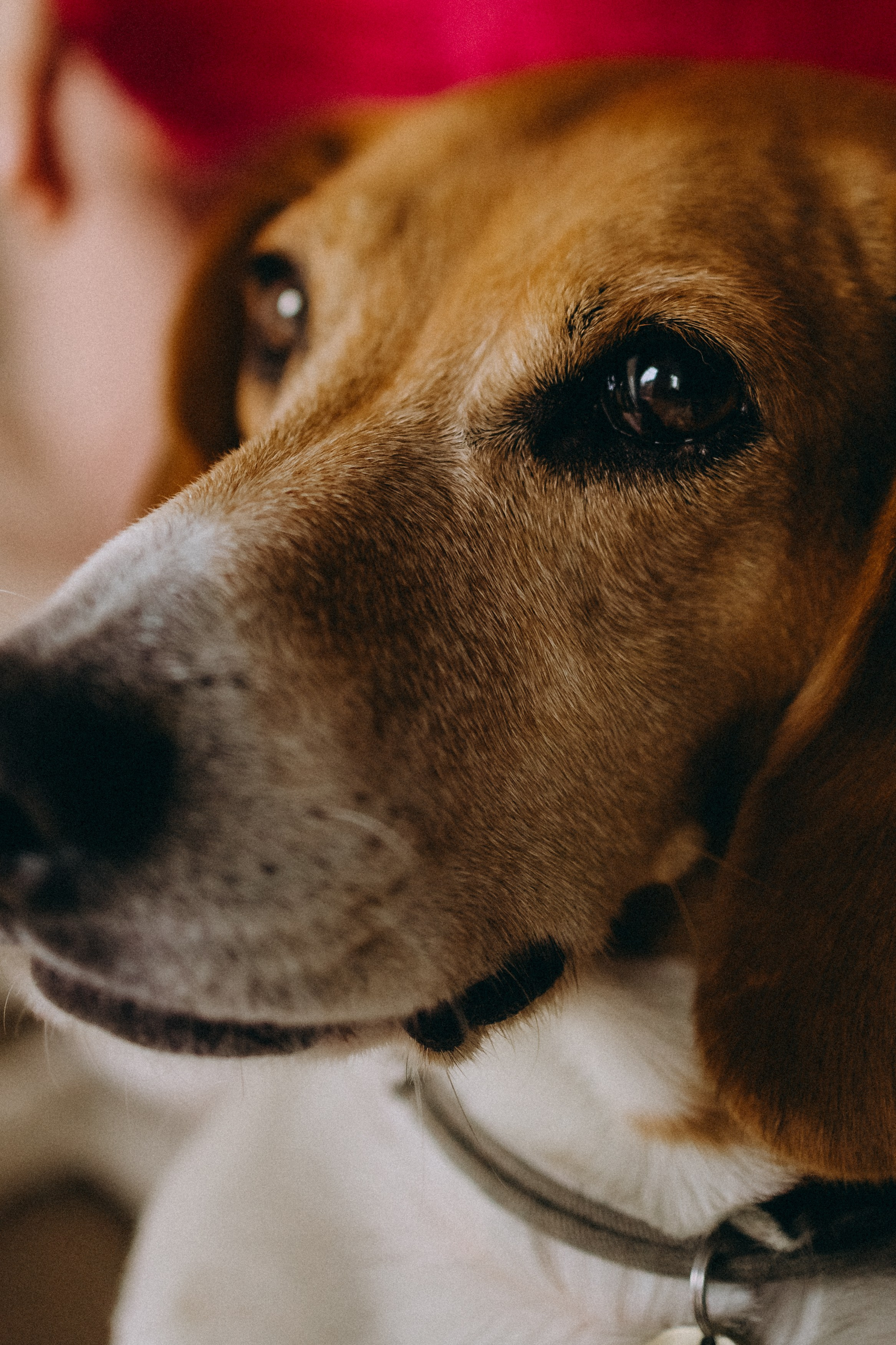 Инна и Ханна. Главная