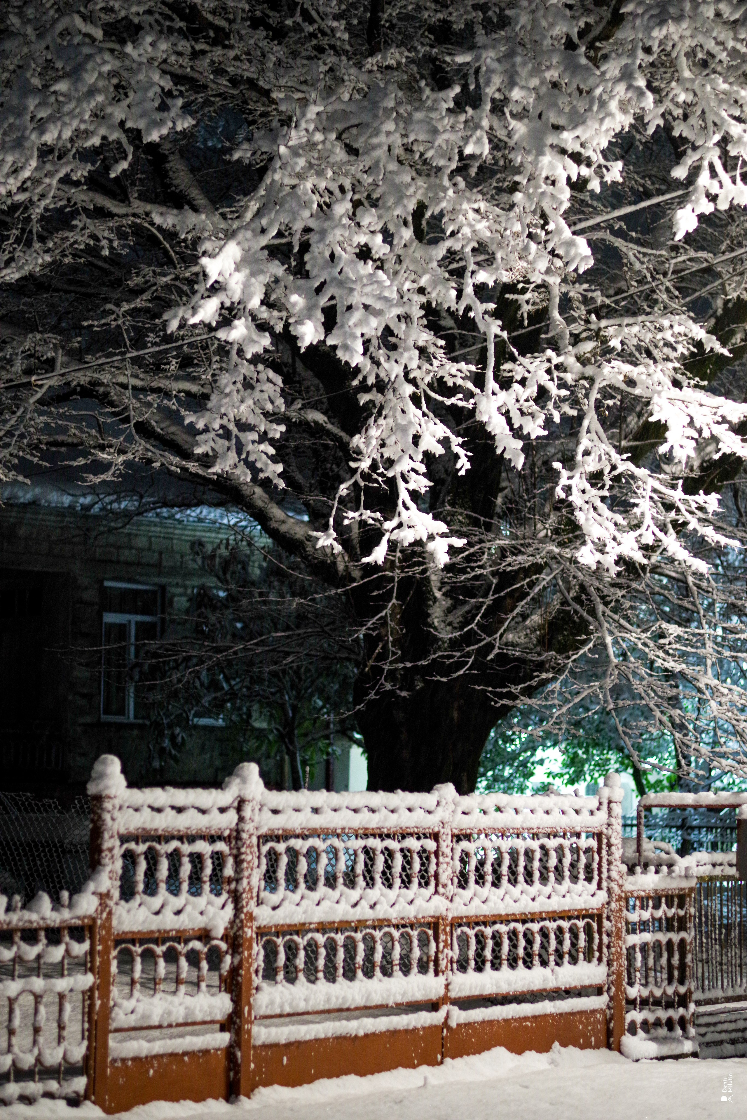 Ночь в Менджи. Портретный фотограф Денис Милютин