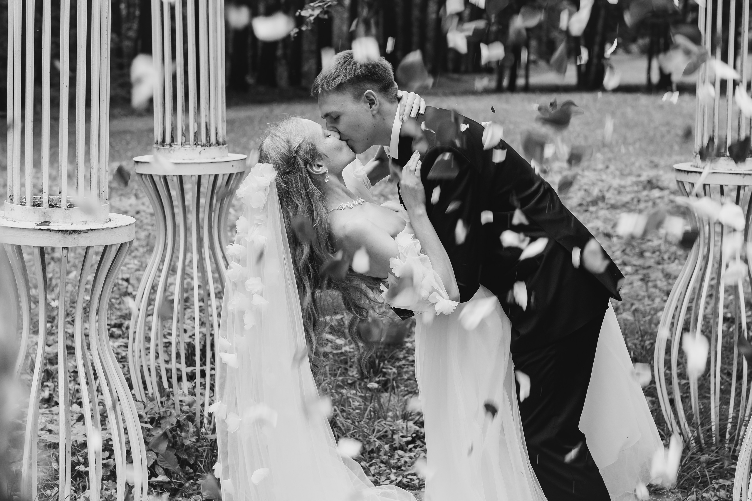 Роман и Александра. Фотограф на свадьбу