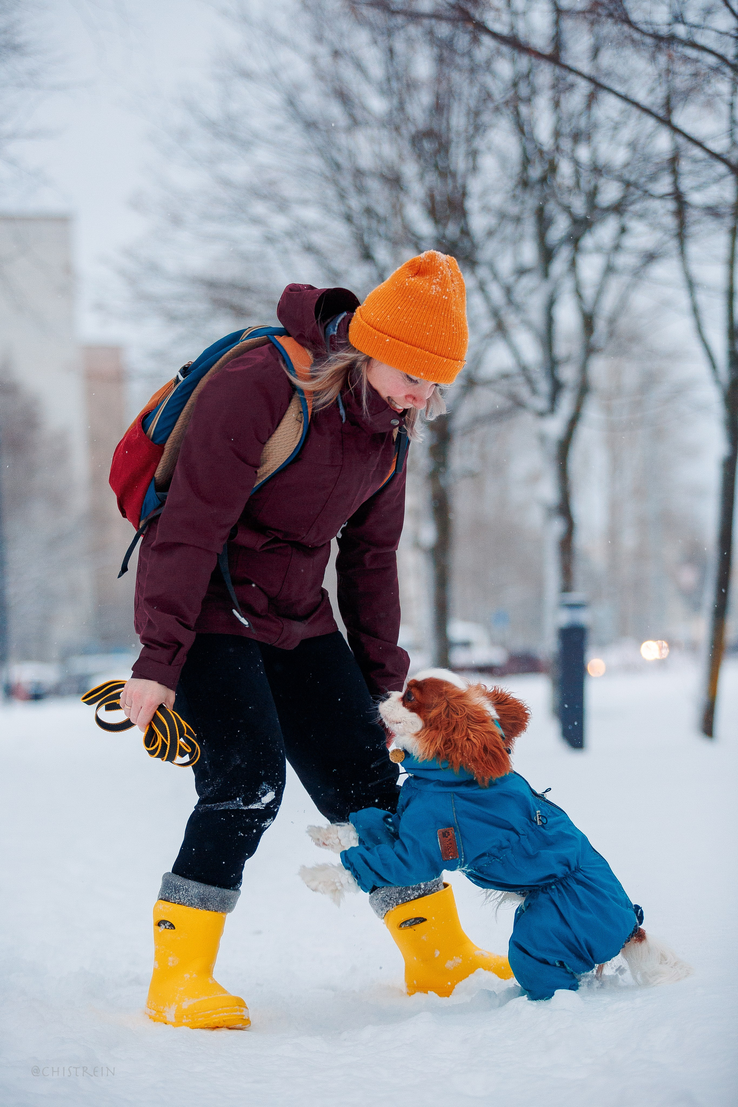 Внезапно апрельская зима. Фотограф-анималист Наталия Чистюхина в г. Сосновый Бор и ЛО